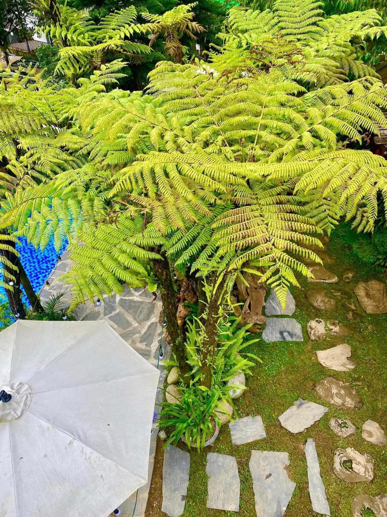 Love House Retreat photo 6