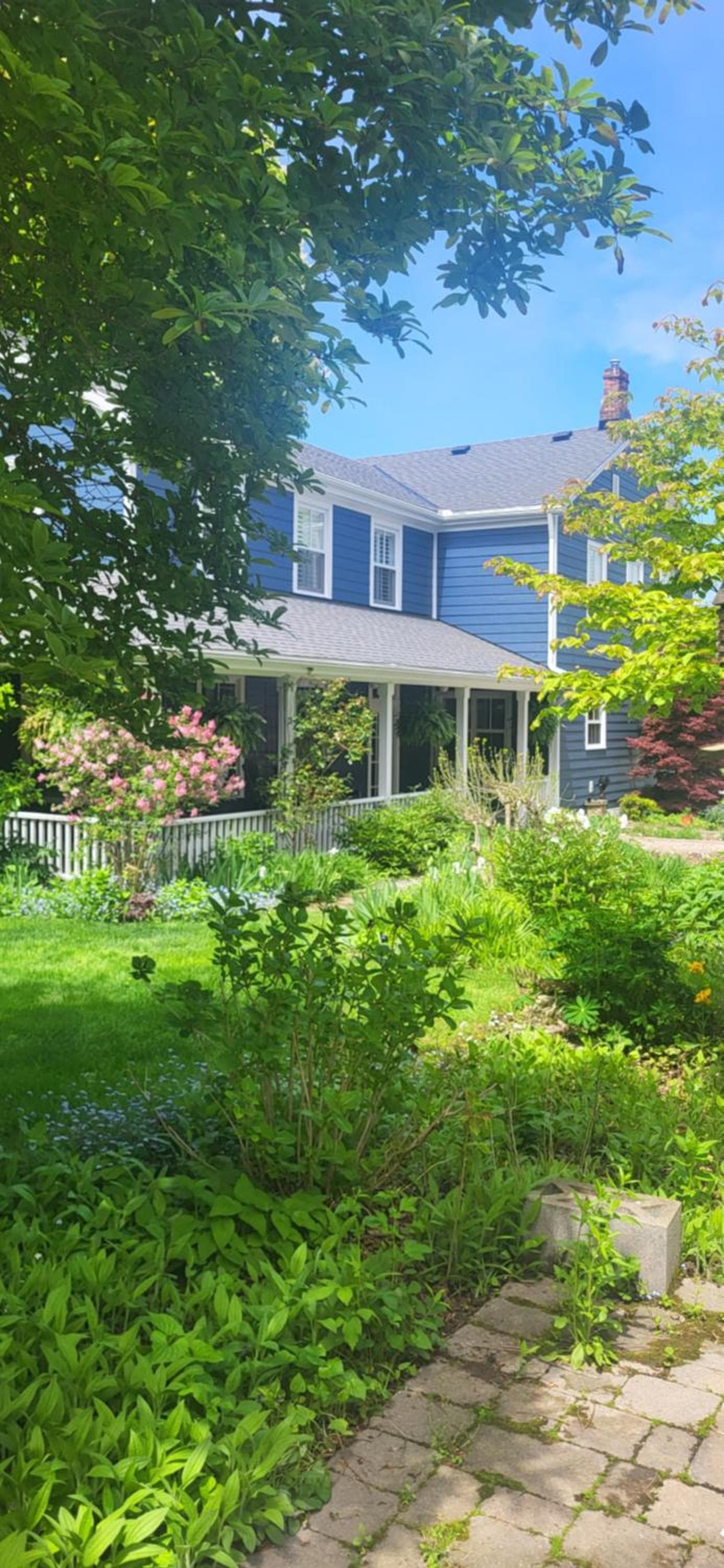 The Royal Manor Inn photo 4