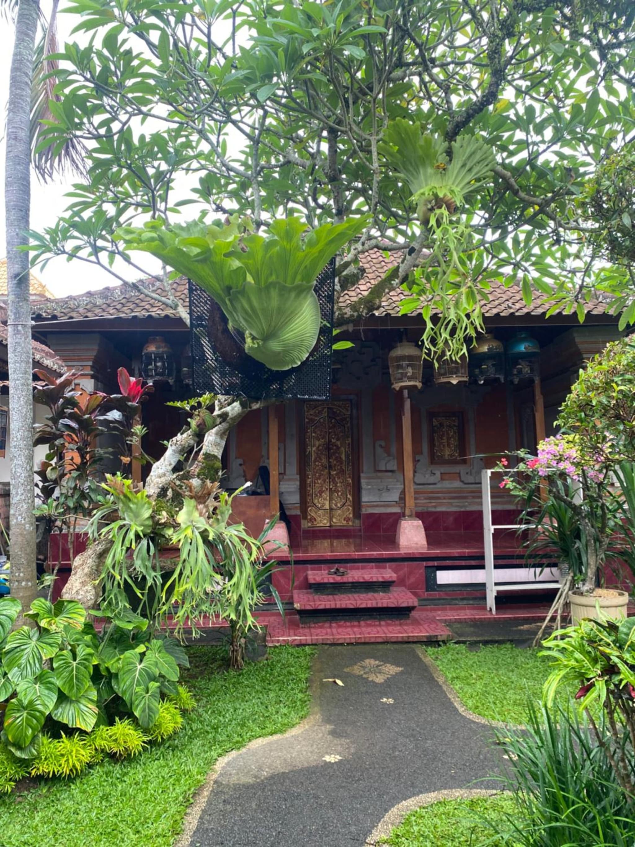 Suryadina Guest House photo 3