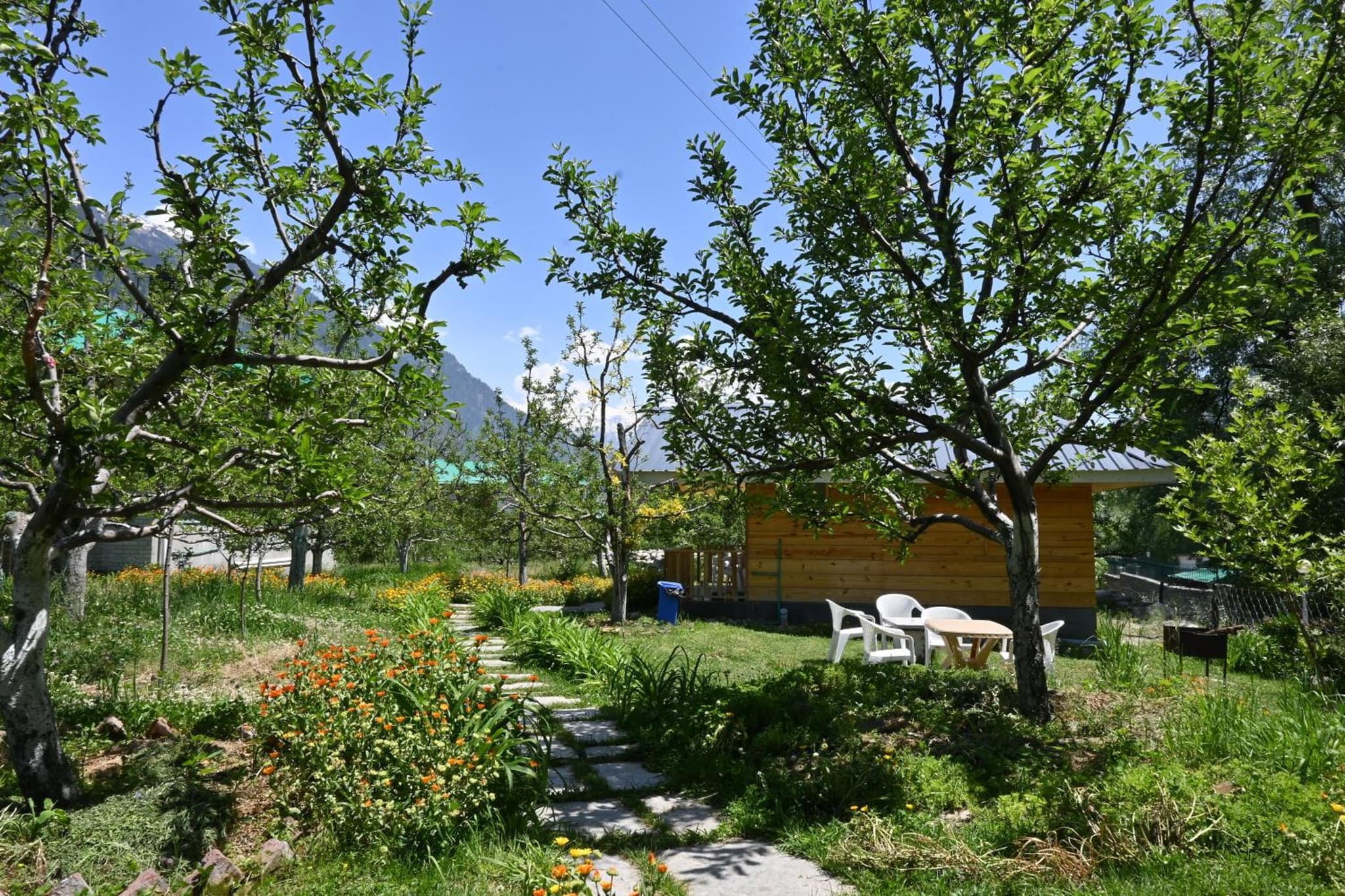 Cascade Mountain Retreat Manali photo 4