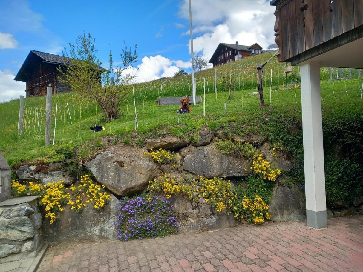 Chalet Pfyffer - Mountain view photo 2