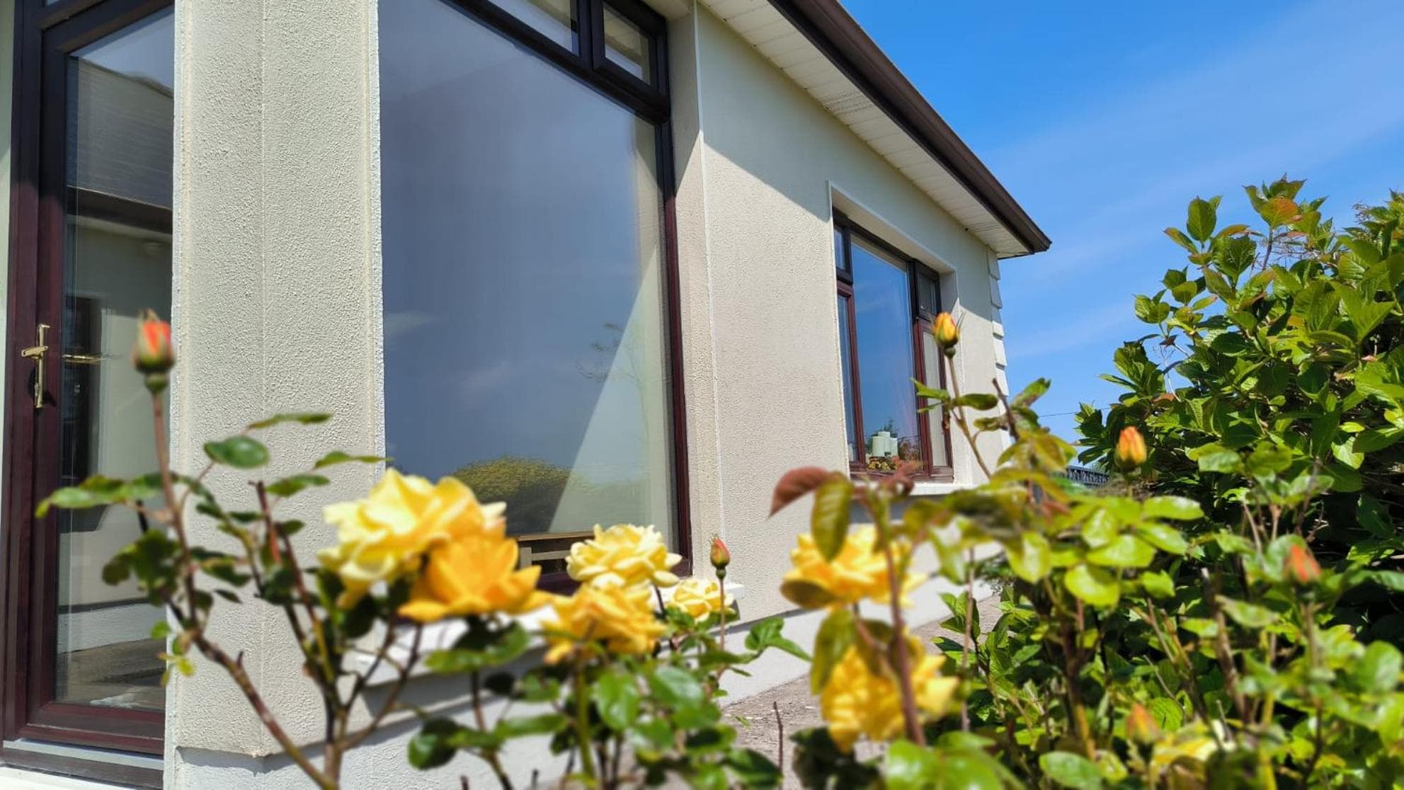 Swinford Country House photo 3