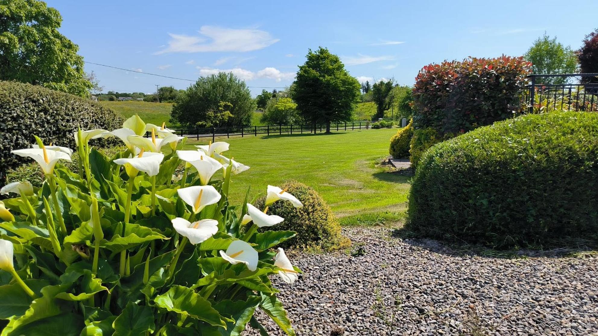 Swinford Country House photo 5