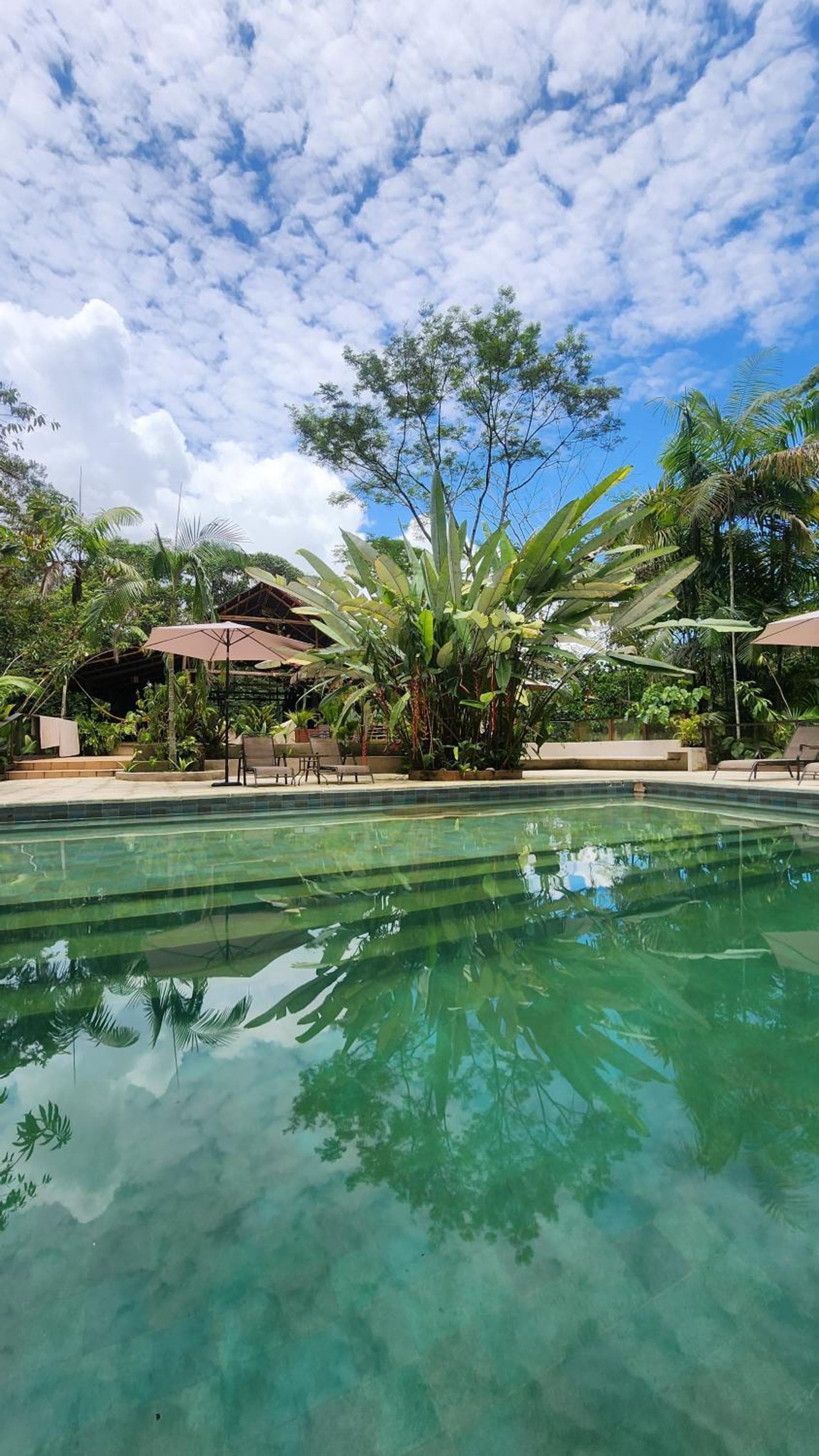 Casa Kiwi Jungle Lodge photo 6