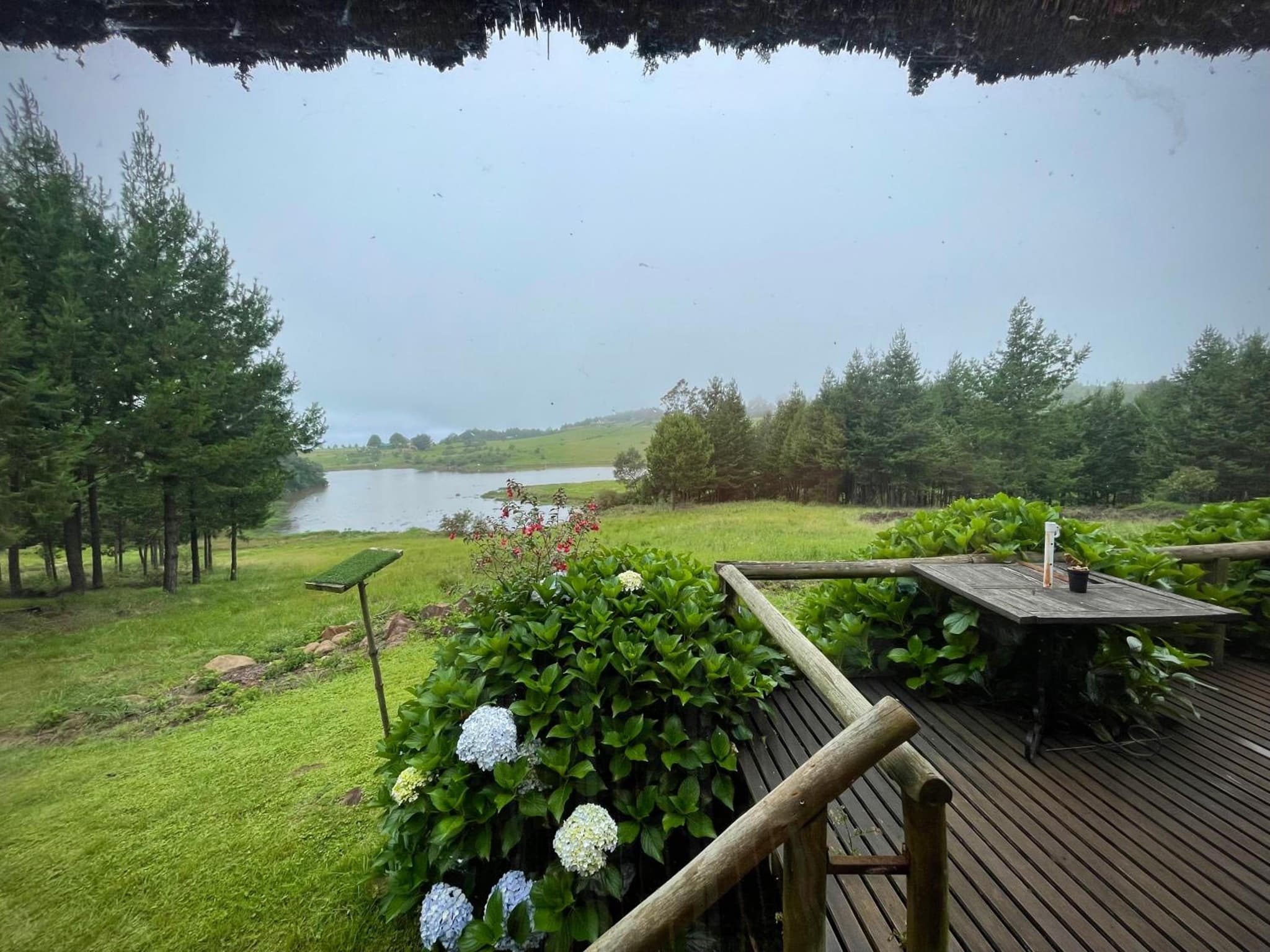 Lakeview Cottage, Curry's Post - SOLAR POWERED photo 3