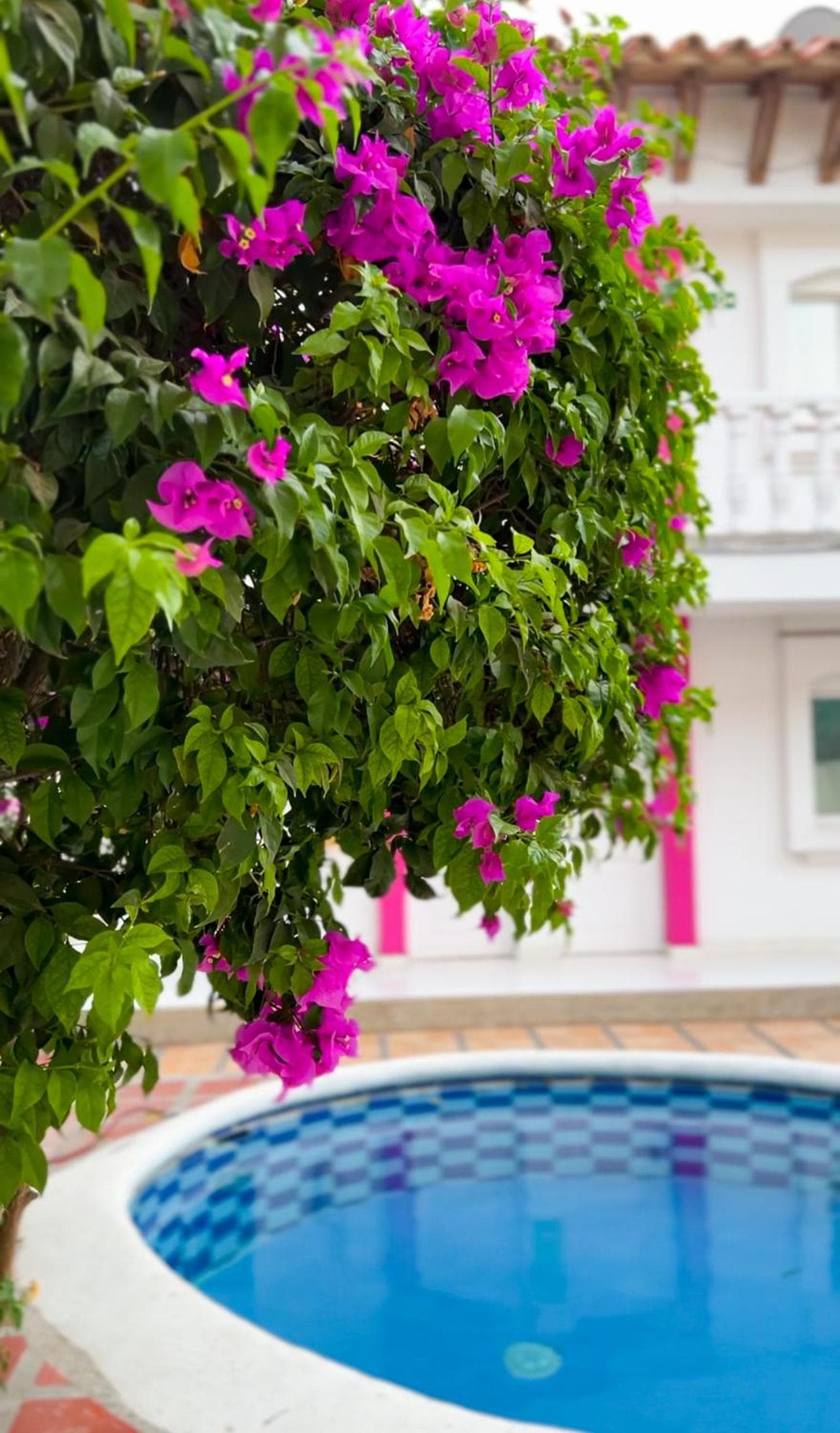 Hotel Casa Grande Riohacha Inn photo 6