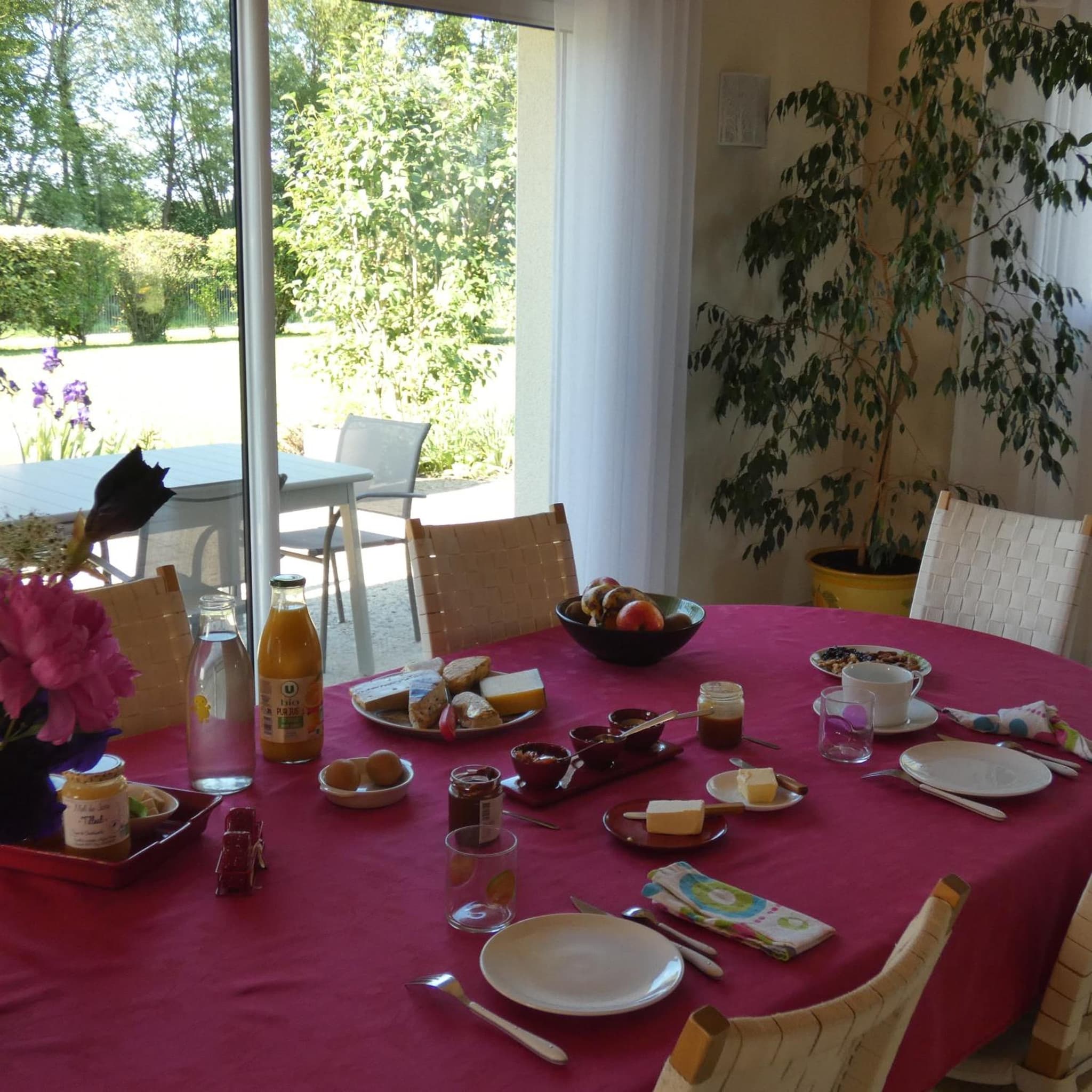 les iris photo 8