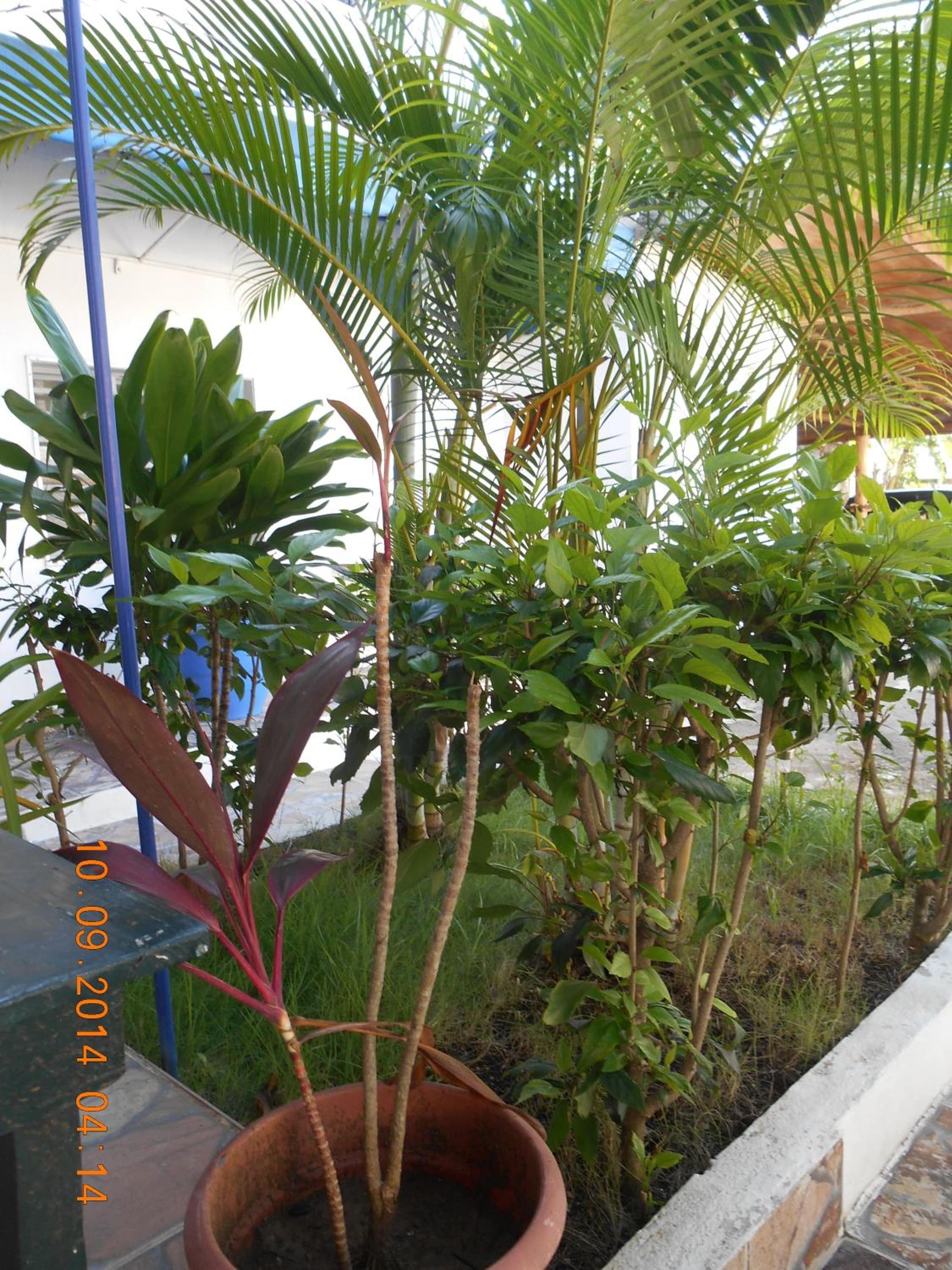 Lucy Rooms photo 4