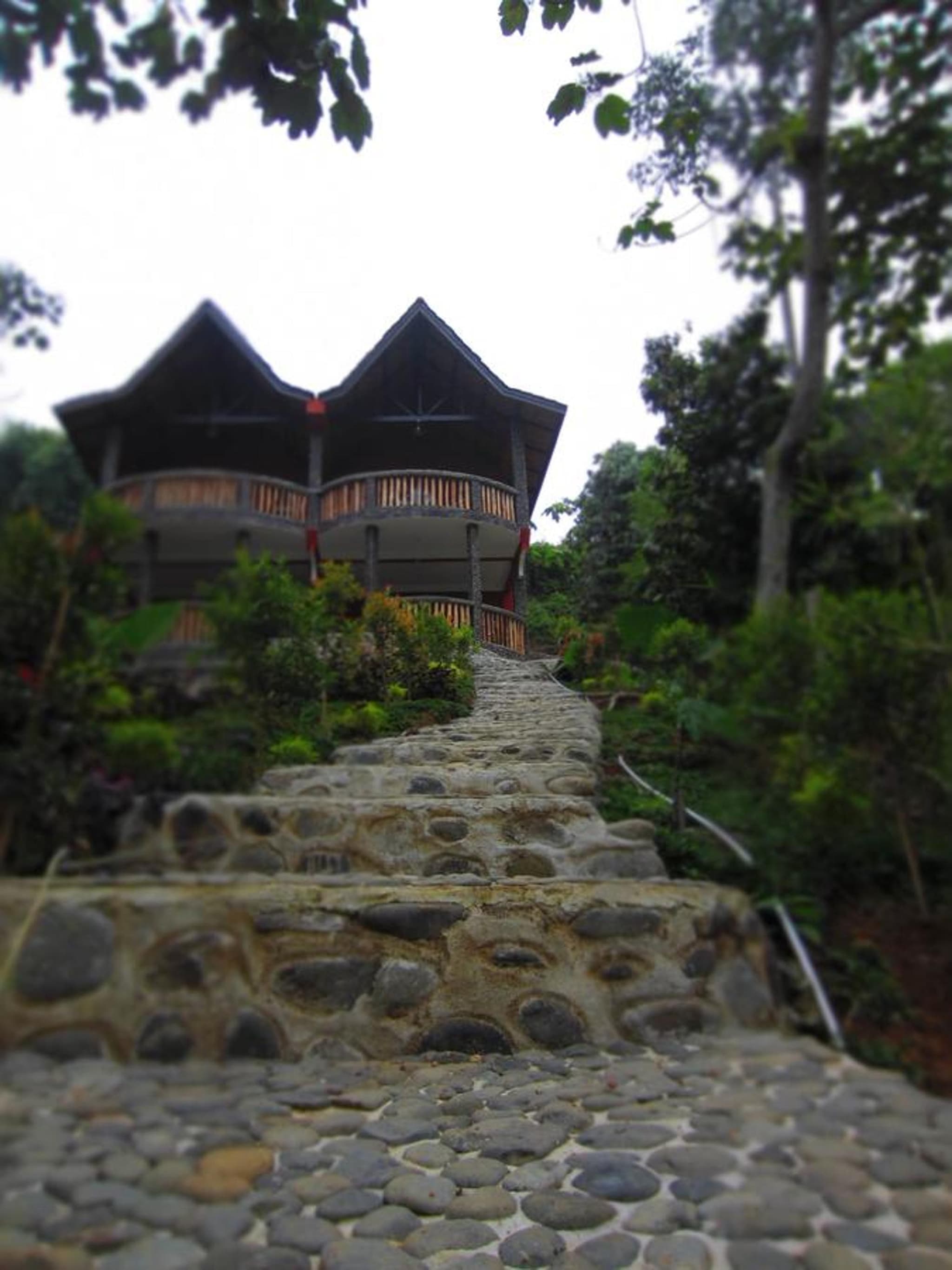 Hotel Orangutan photo 9