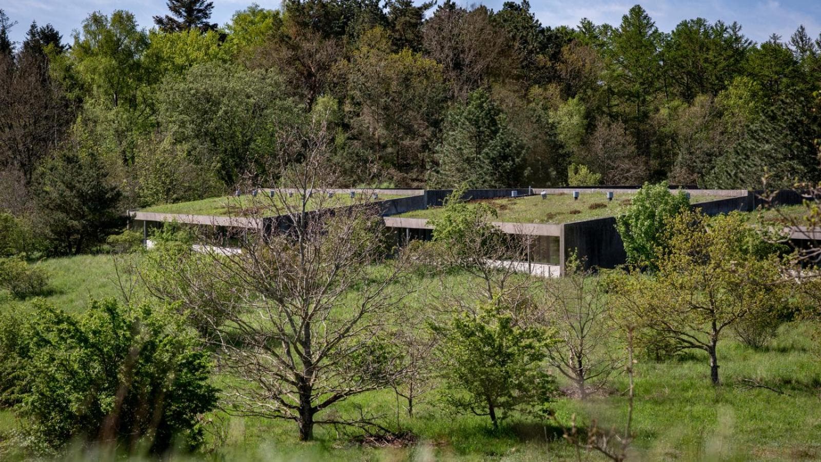 Hotel Toppen af Ebeltoft photo 3