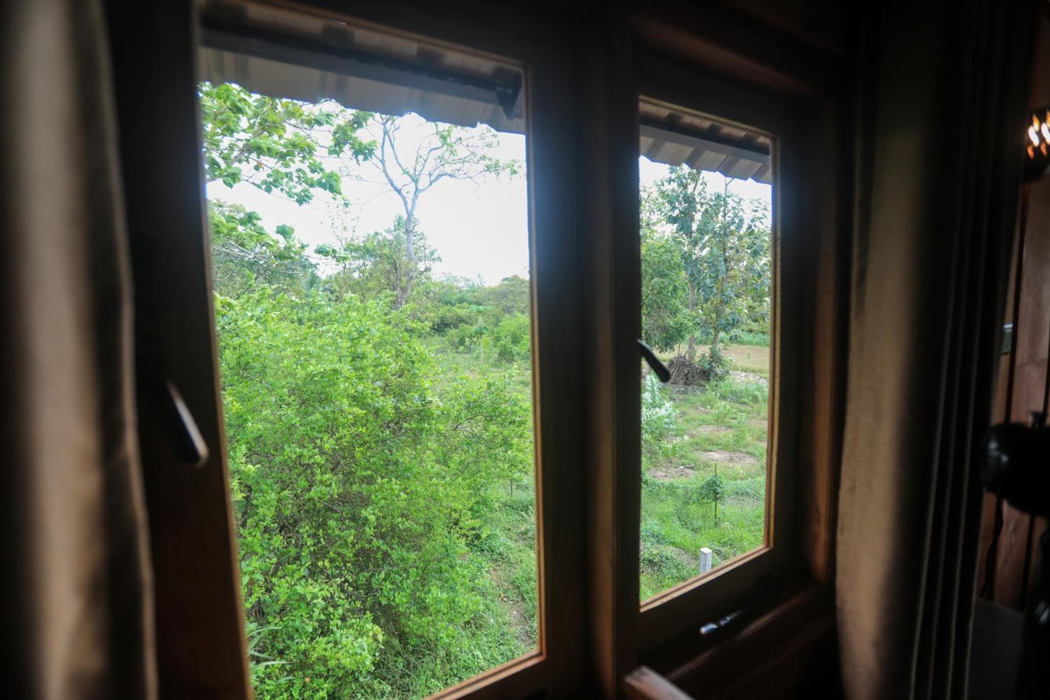 Lion Wood Treehouse photo 6