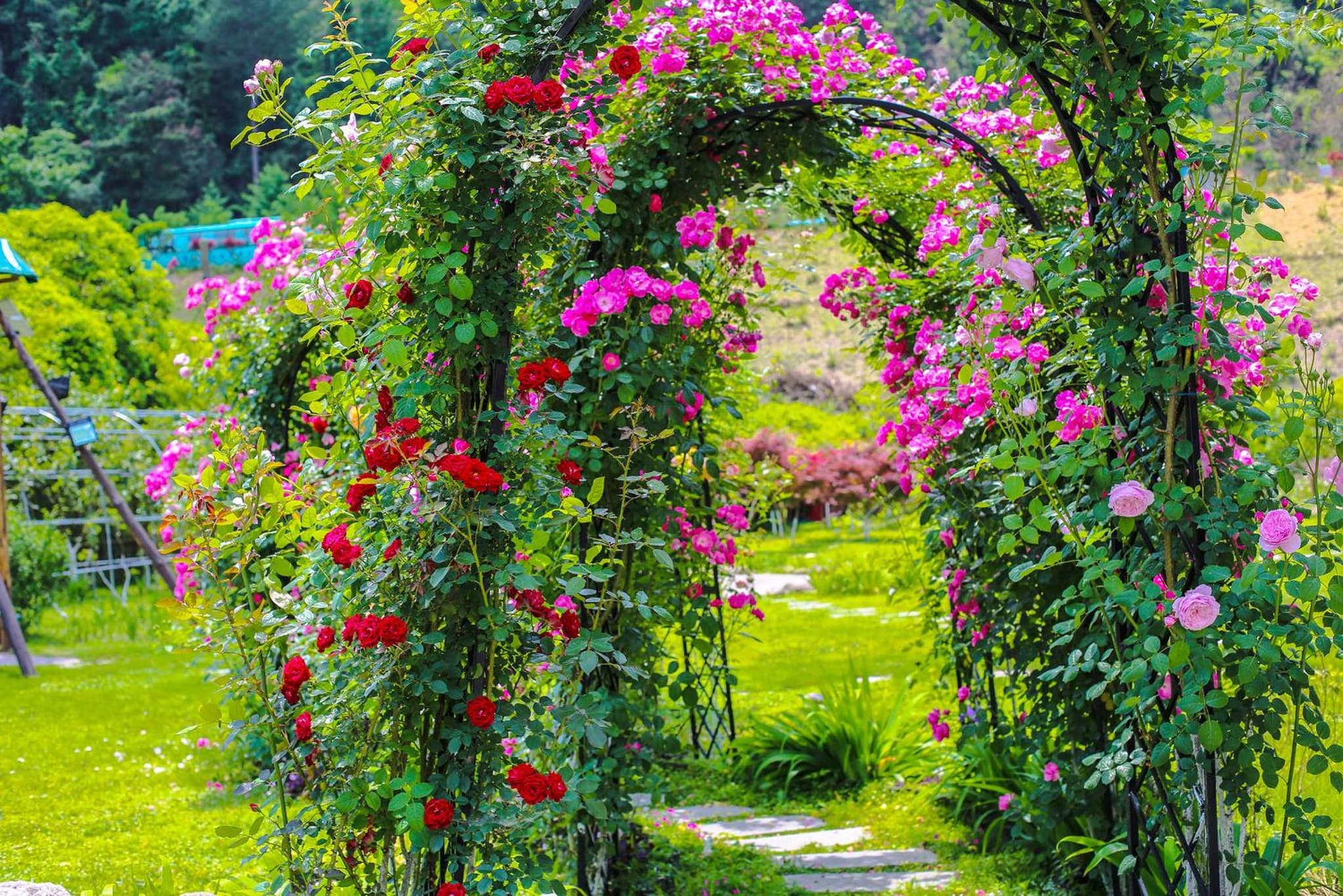 Pure House--Free shuttle Service to South Gate of the Forest Park,Attraction Tickets Serivce in advance, Mount View, Nature village and Tranguility photo 8