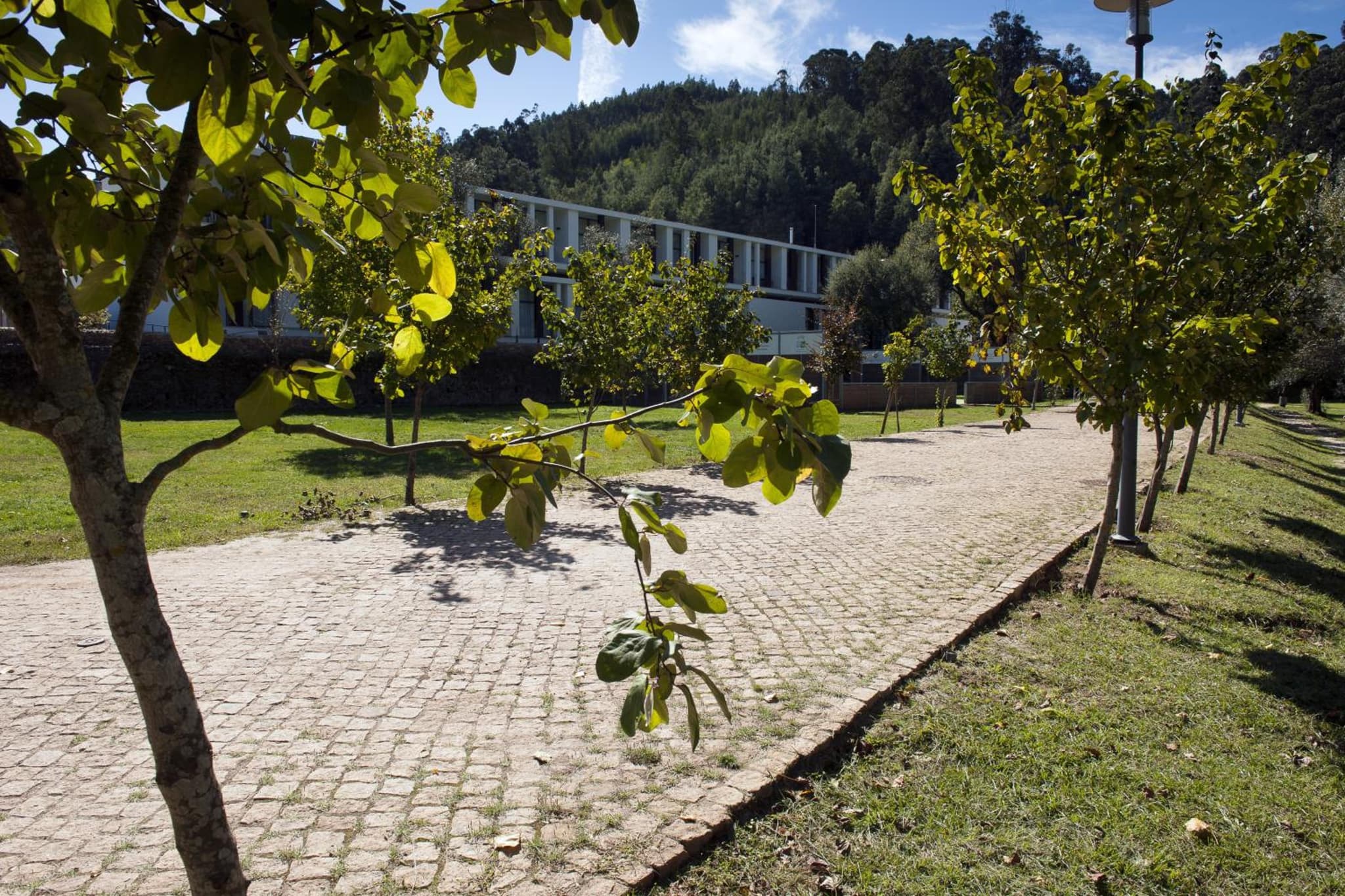 Hotel Parque Serra da Lousã photo 7