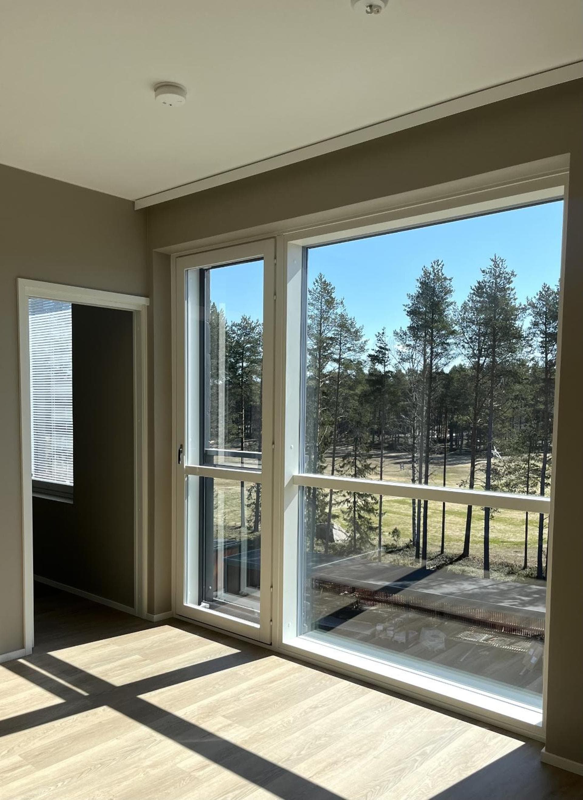 Grand Beach Apartment photo 6