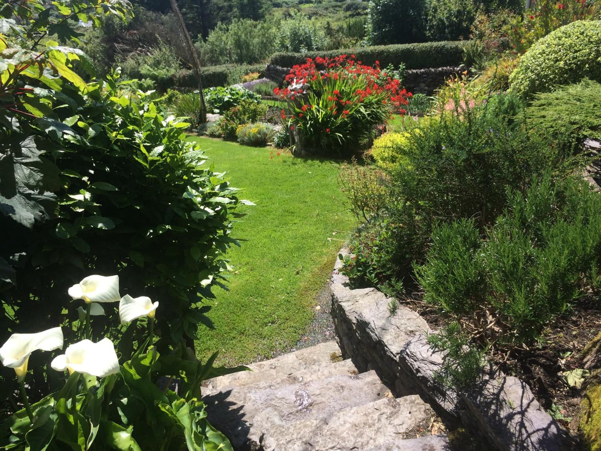 Unique Old Stone Cottage photo 9