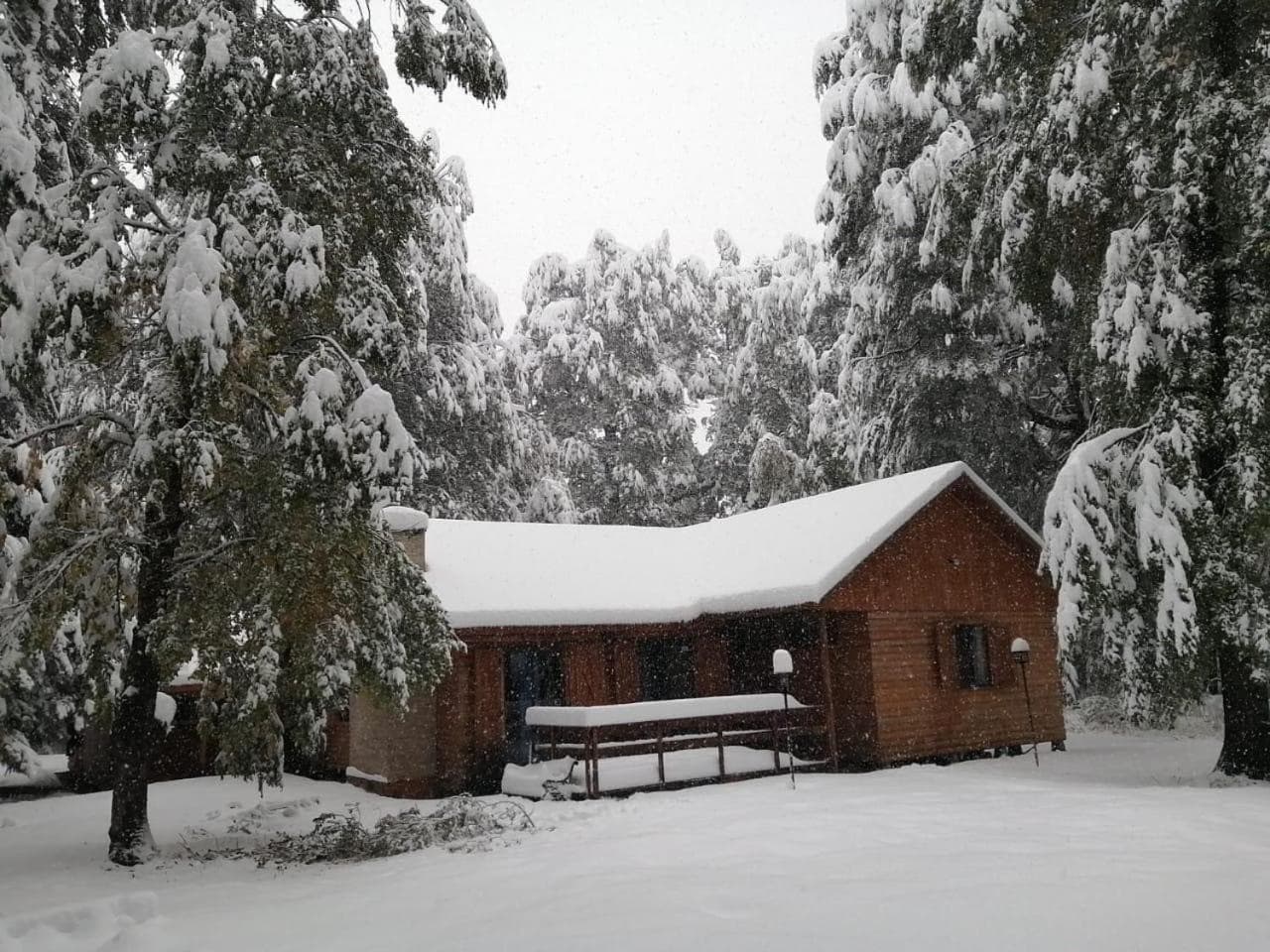 Cabaña en Termas de Chillán