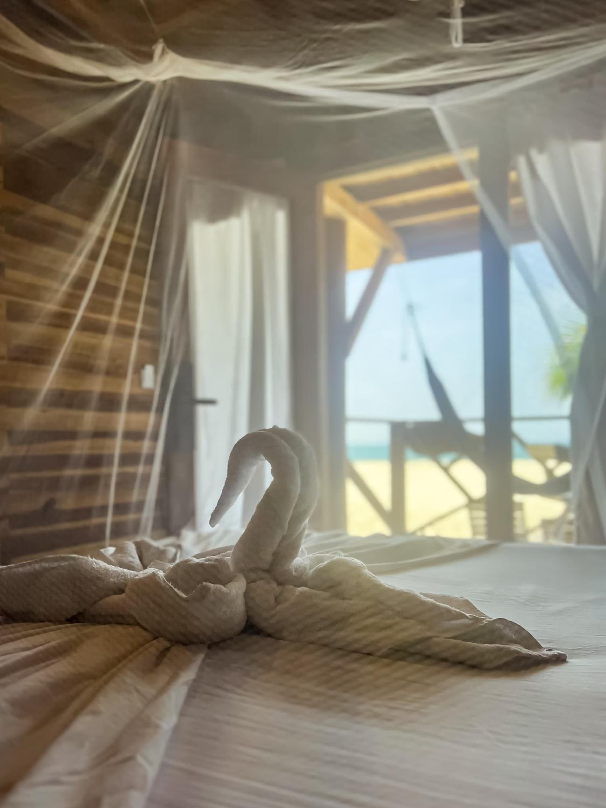 Hostal MOCAMBO BEACH photo 2