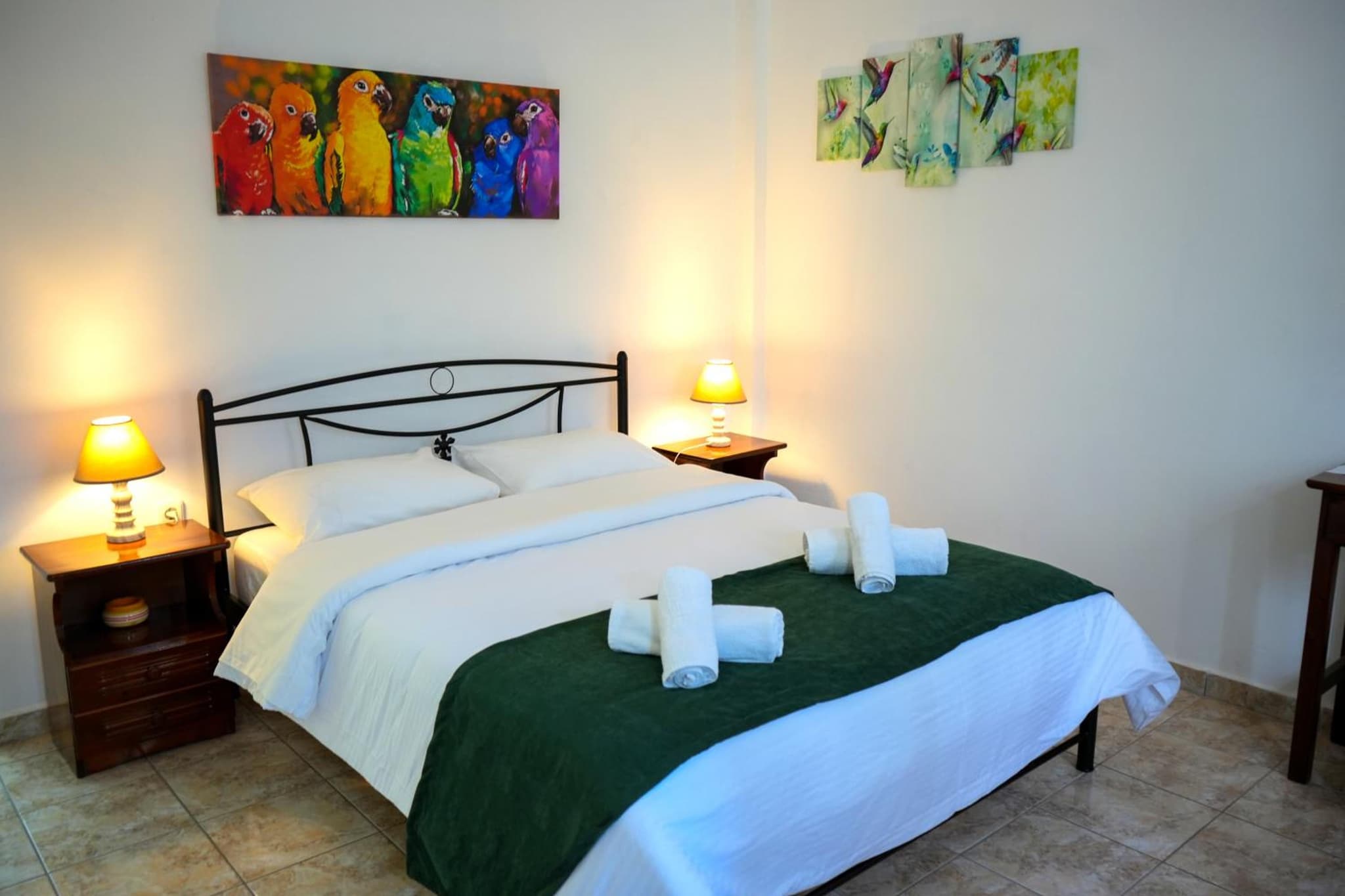 Green Parrot Apartments photo 6