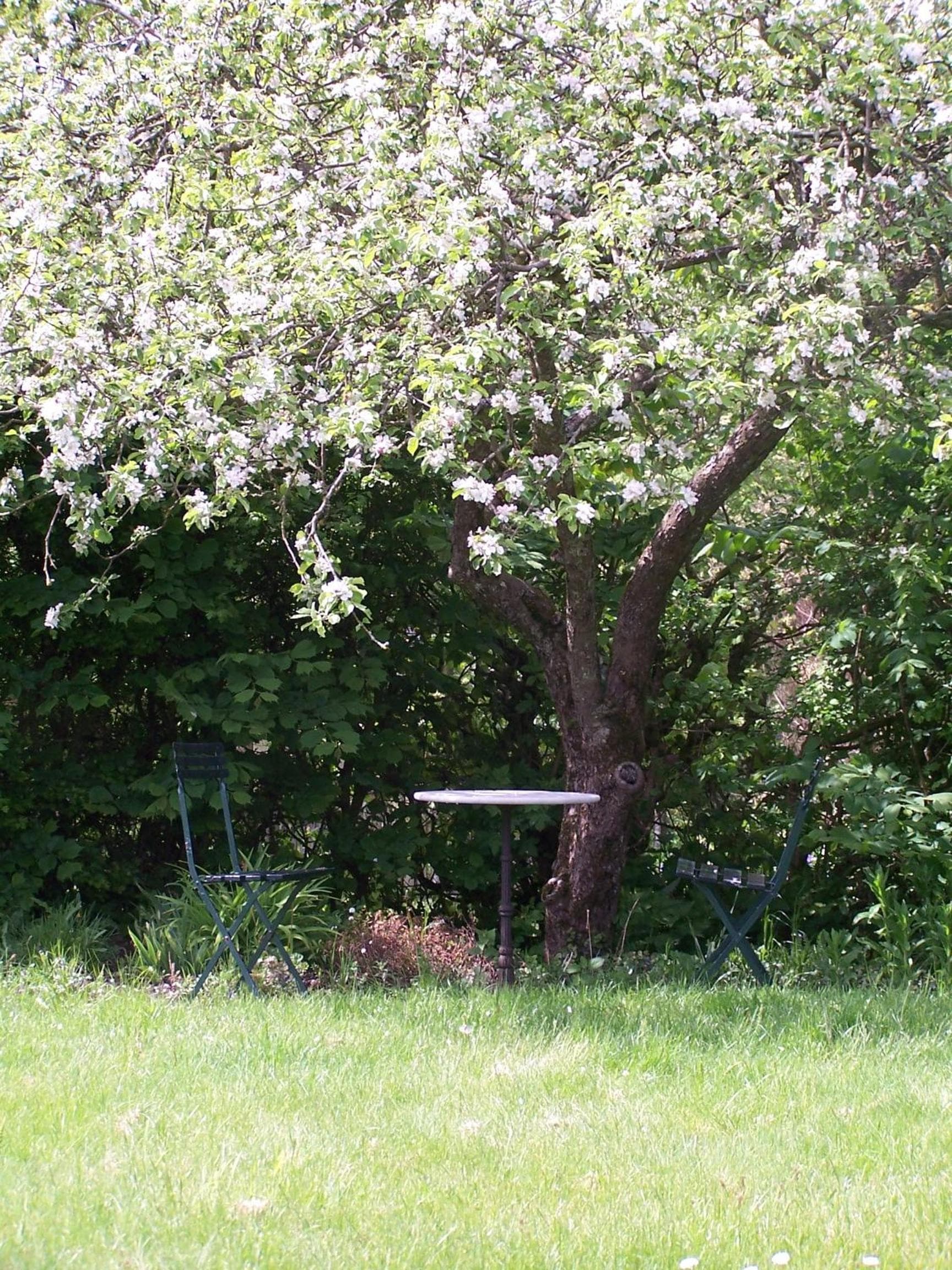 Møllehusets Bed & Breakfast photo 8