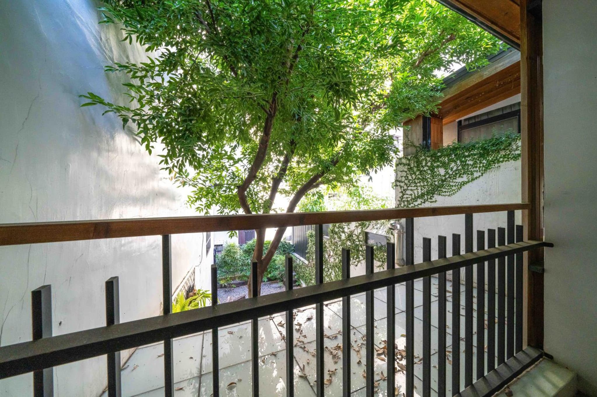 Tree House photo 6