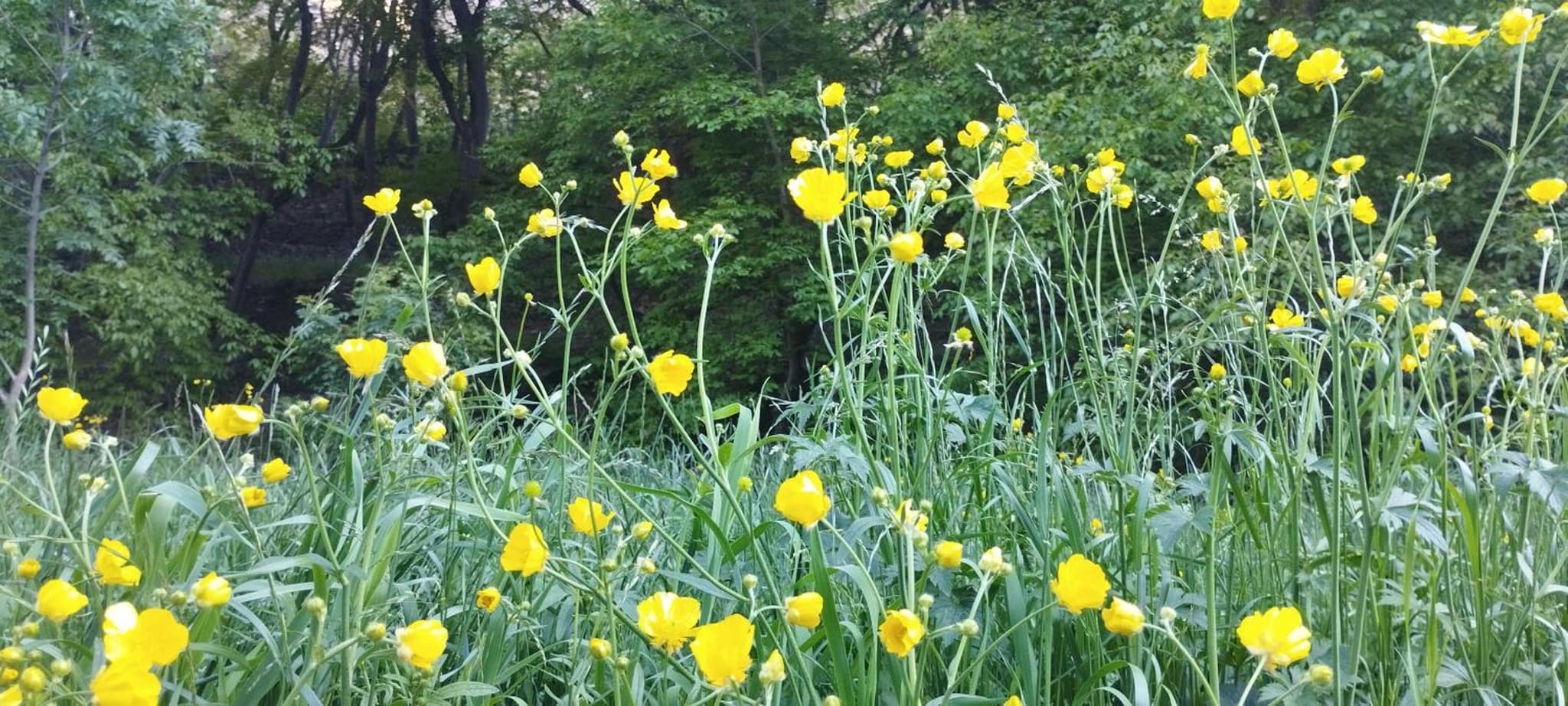 Gite akswal amssakrou photo 8