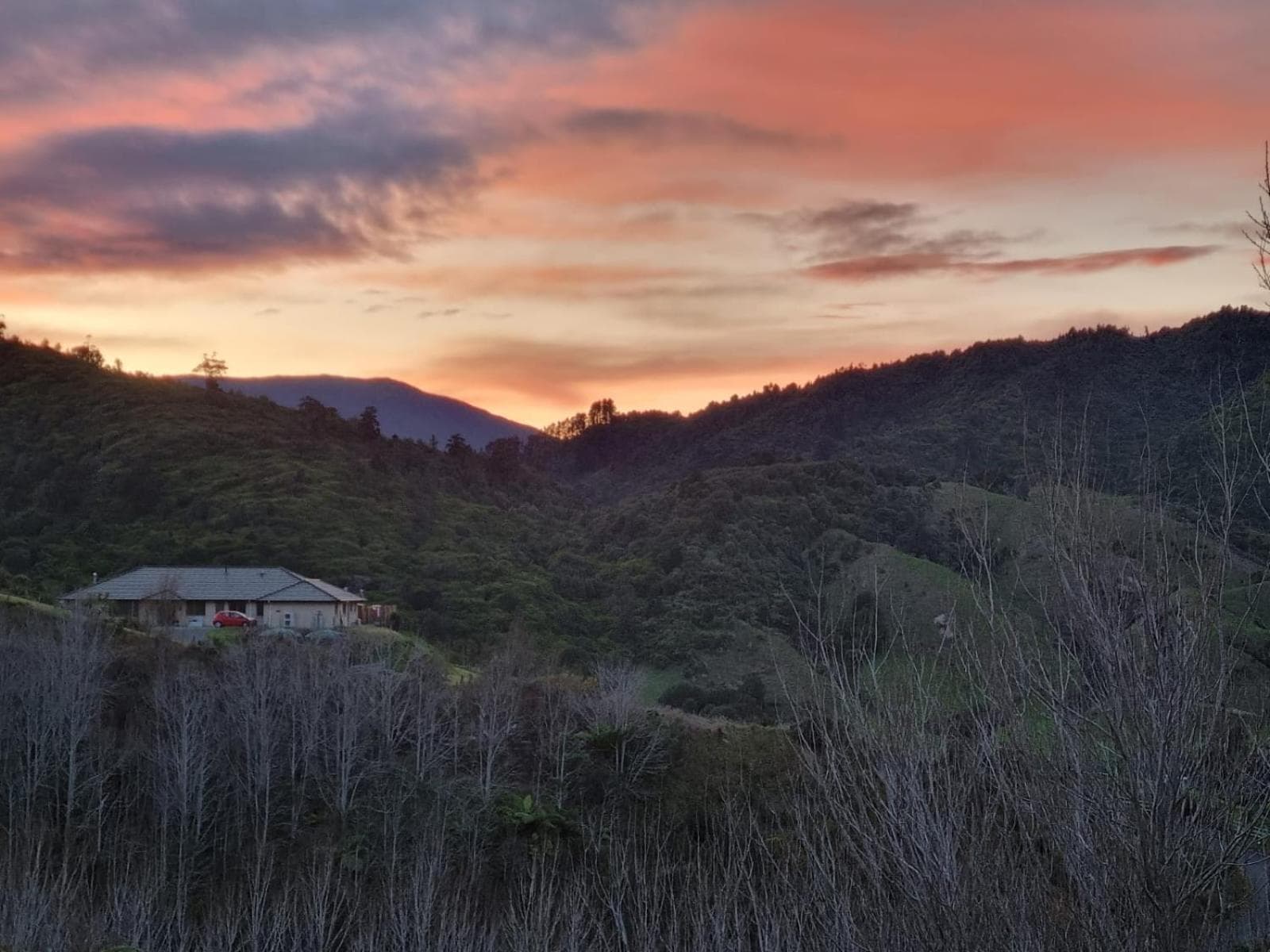 Hilltop View Nikau Valley photo 6