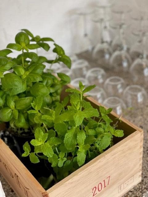Faaborg Vandrehjem photo 9