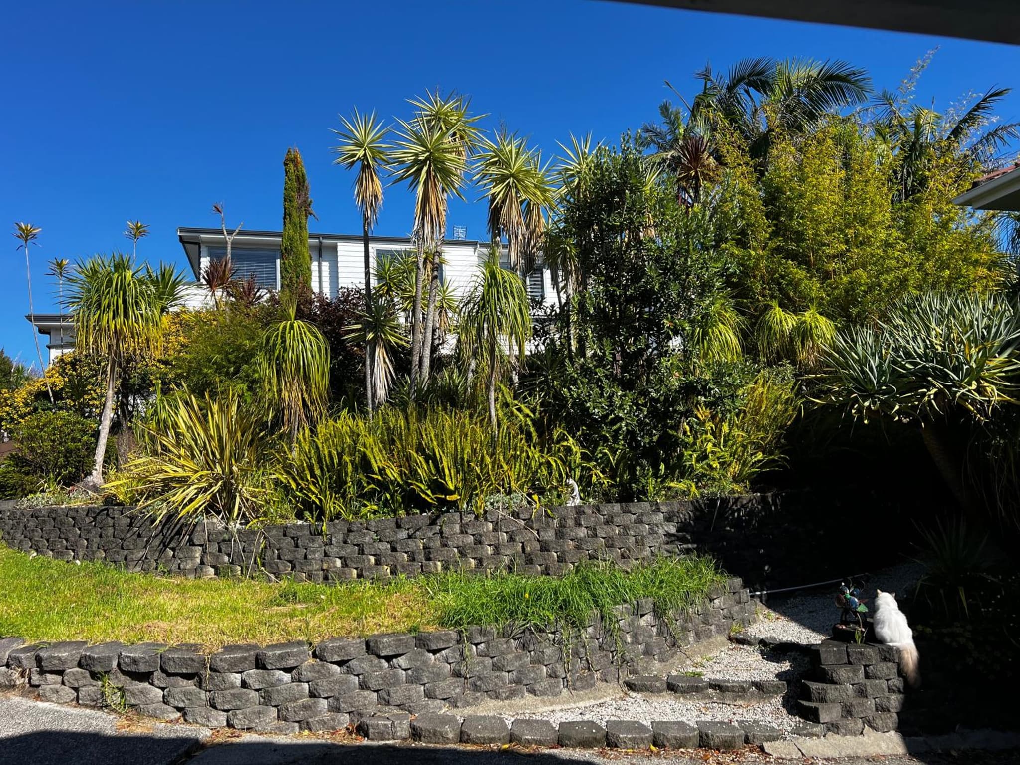Waiake Beach Apartments photo 8
