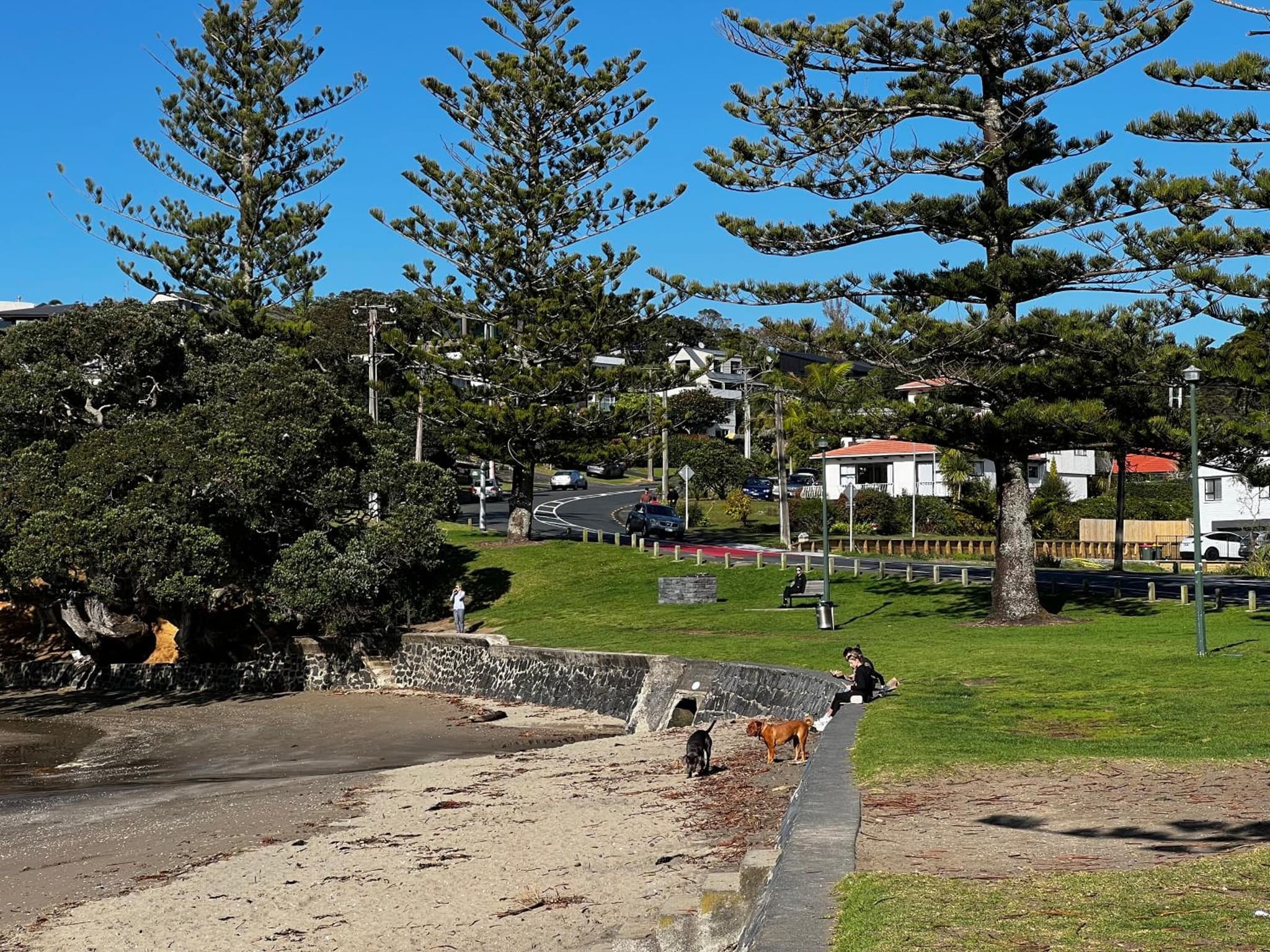 Waiake Beach Apartments photo 5