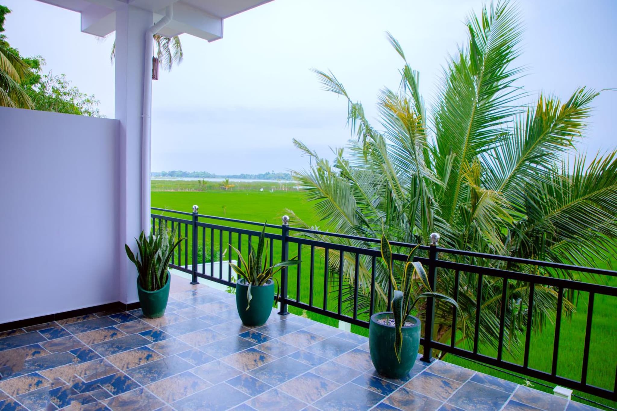 My Resort Yala photo 9