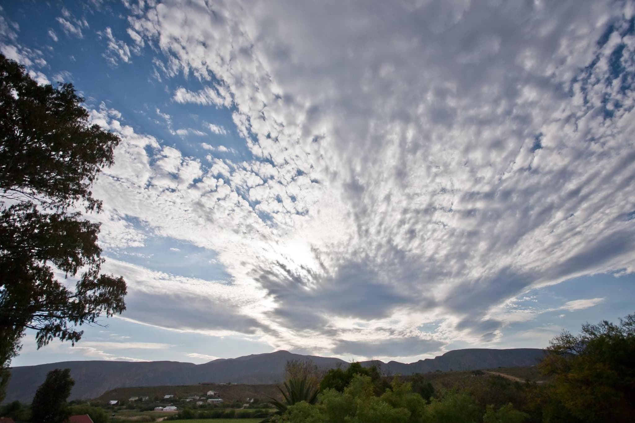 The Queen Of Calitzdorp photo 6