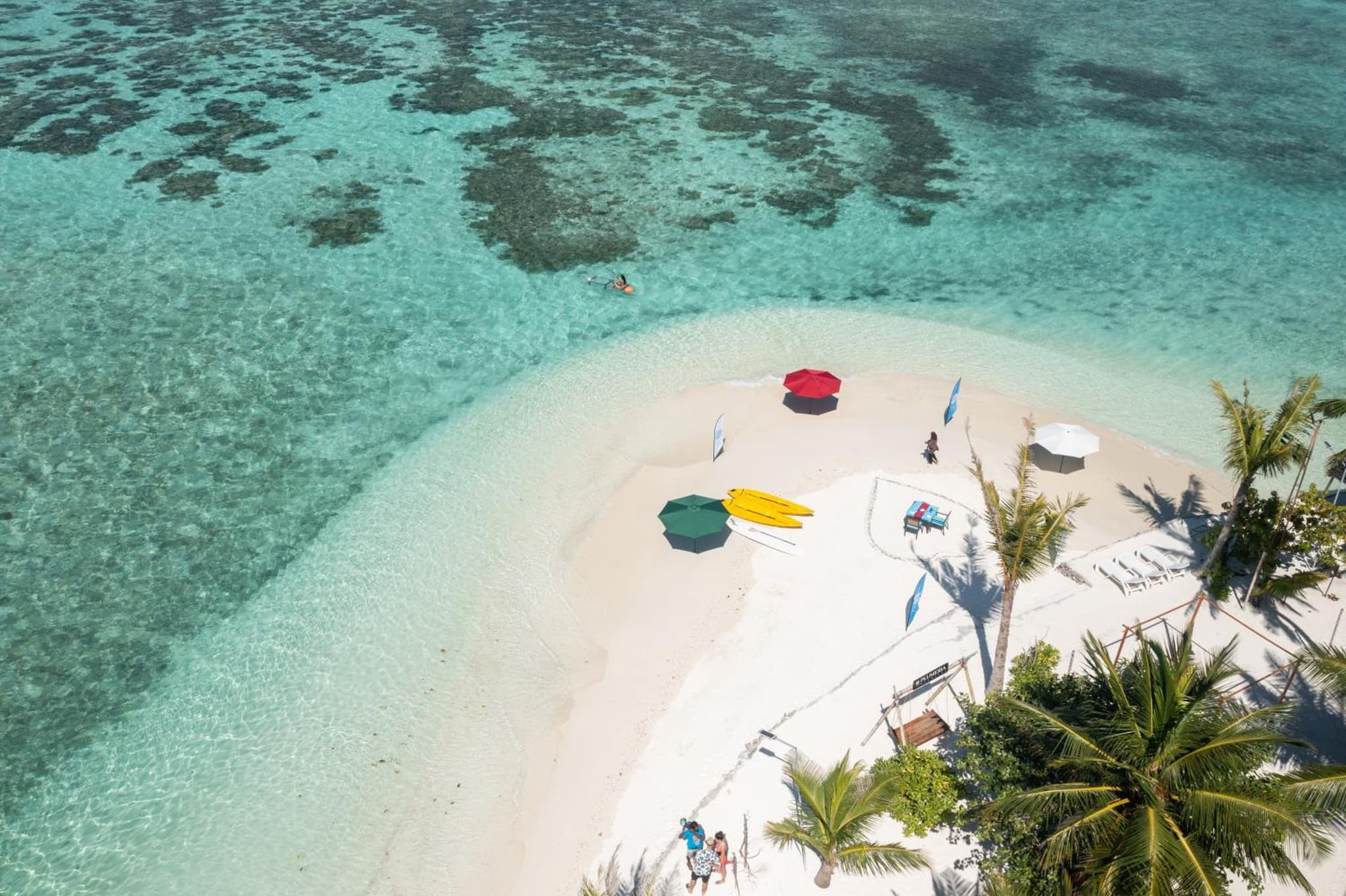 Plumeria Maldives photo 8