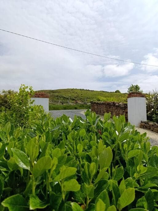 Greenhills Cottage -Overlooking Slieve League photo 8