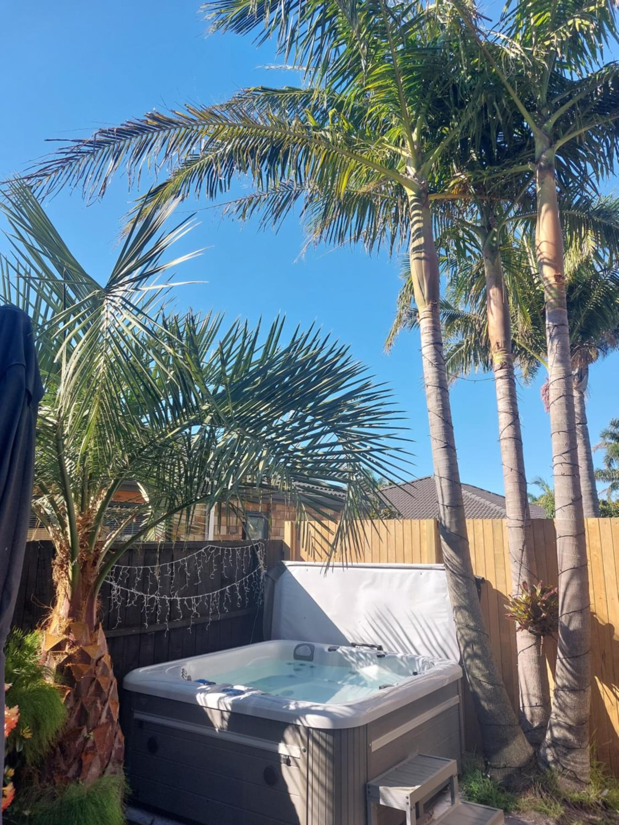 Palm Paradise with Spa photo 6