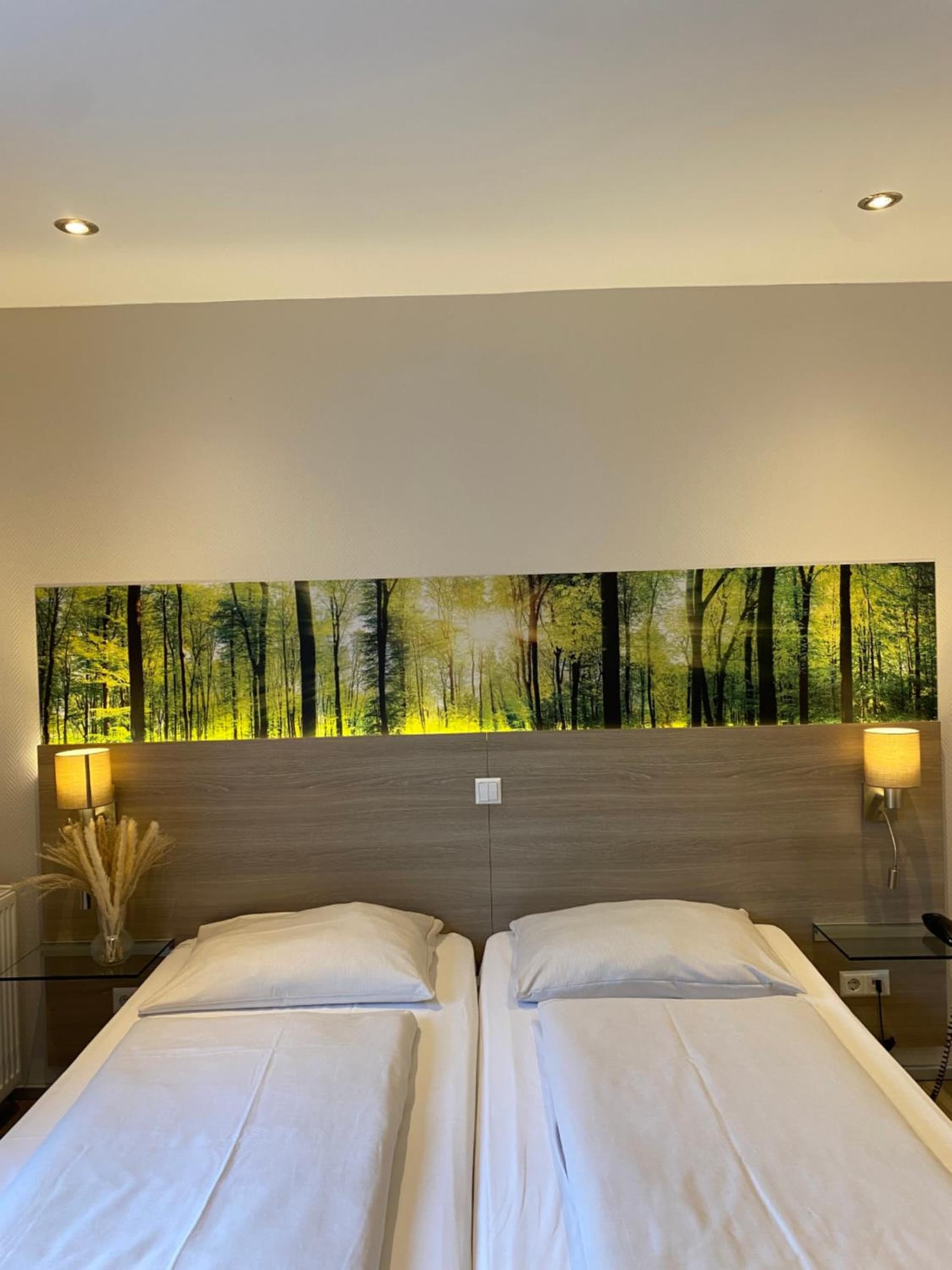 Hotel Scheid photo 6