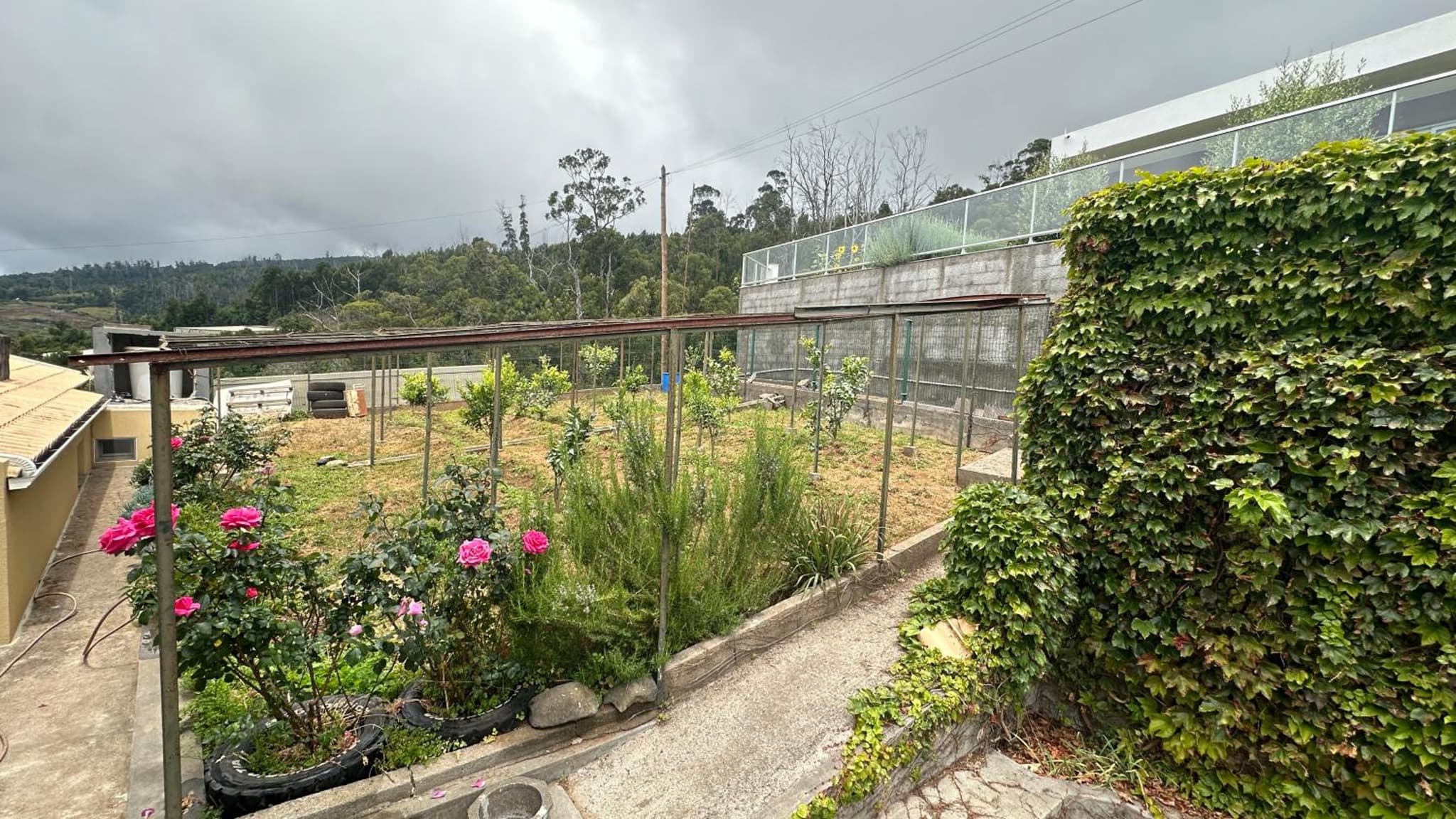 Casa Malee photo 4
