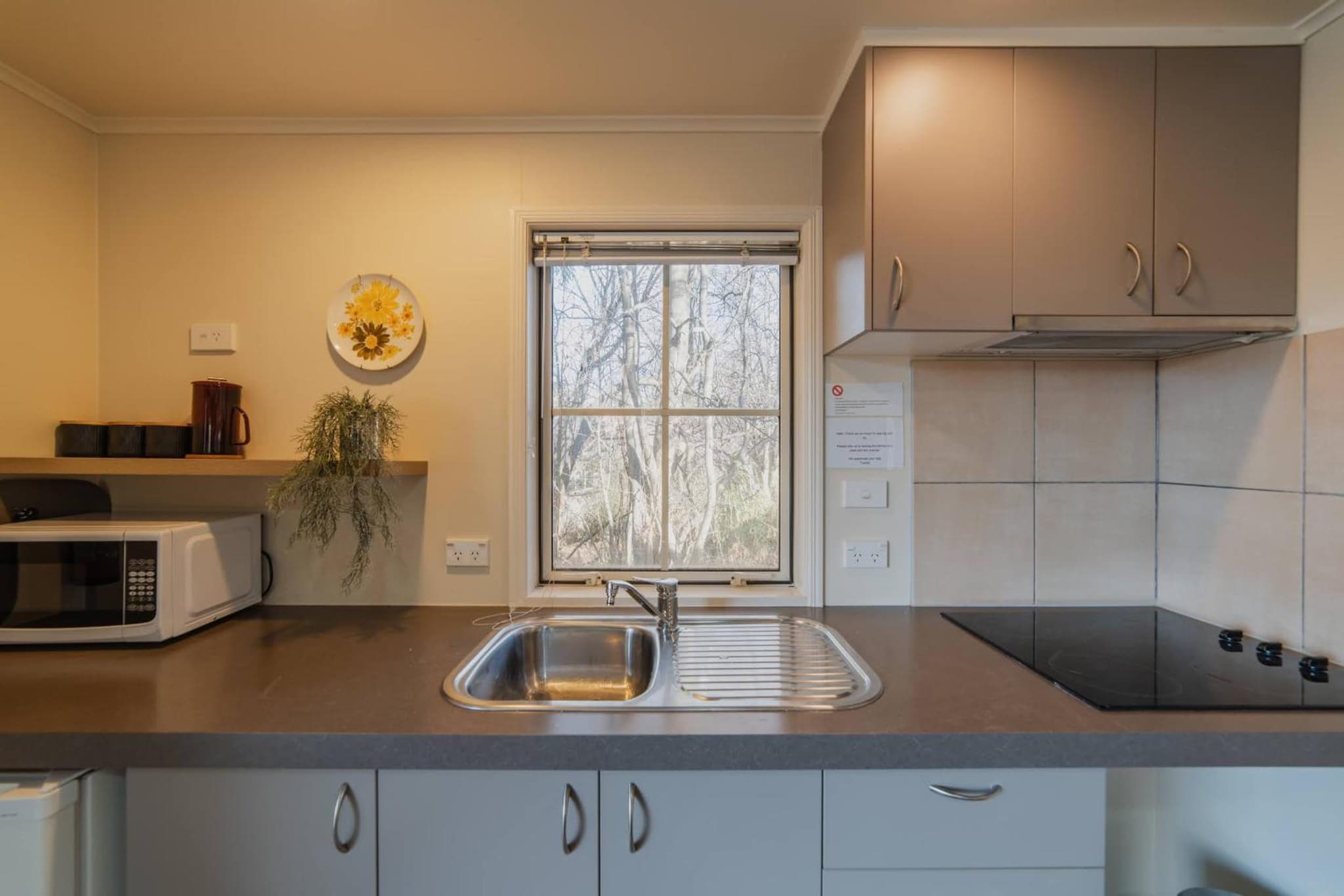 Lake Tekapo Cottages photo 9
