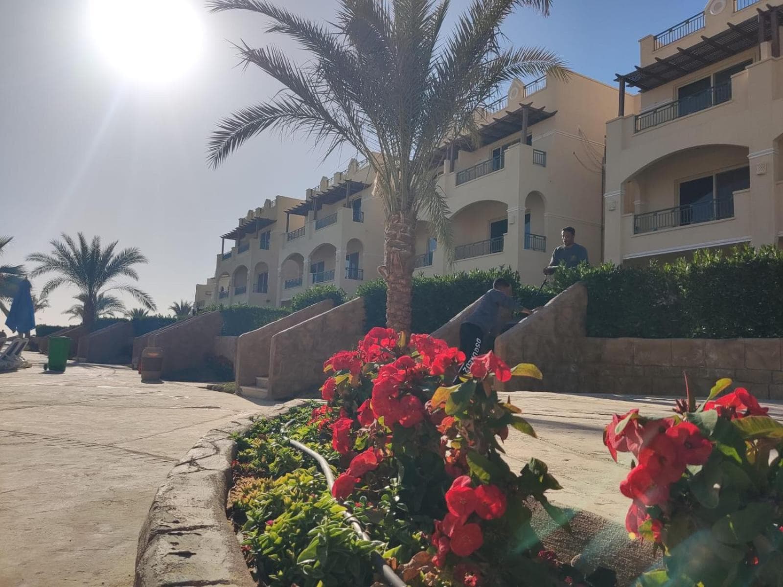 Lasirina palm beach for families only photo 3