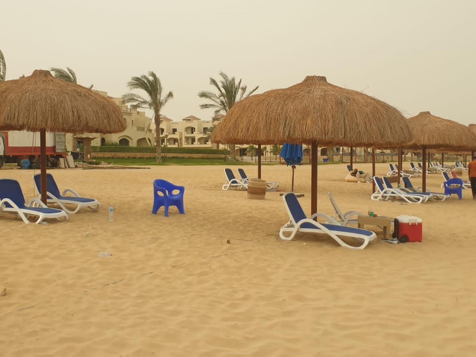 Lasirina palm beach for families only photo 8