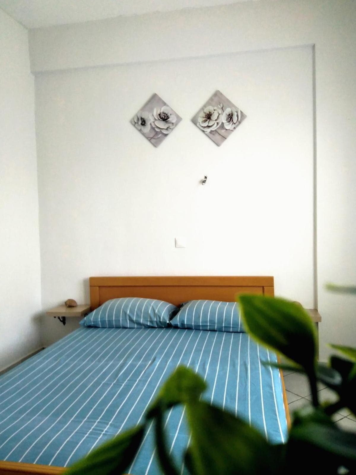 MARONIA Villa photo 9