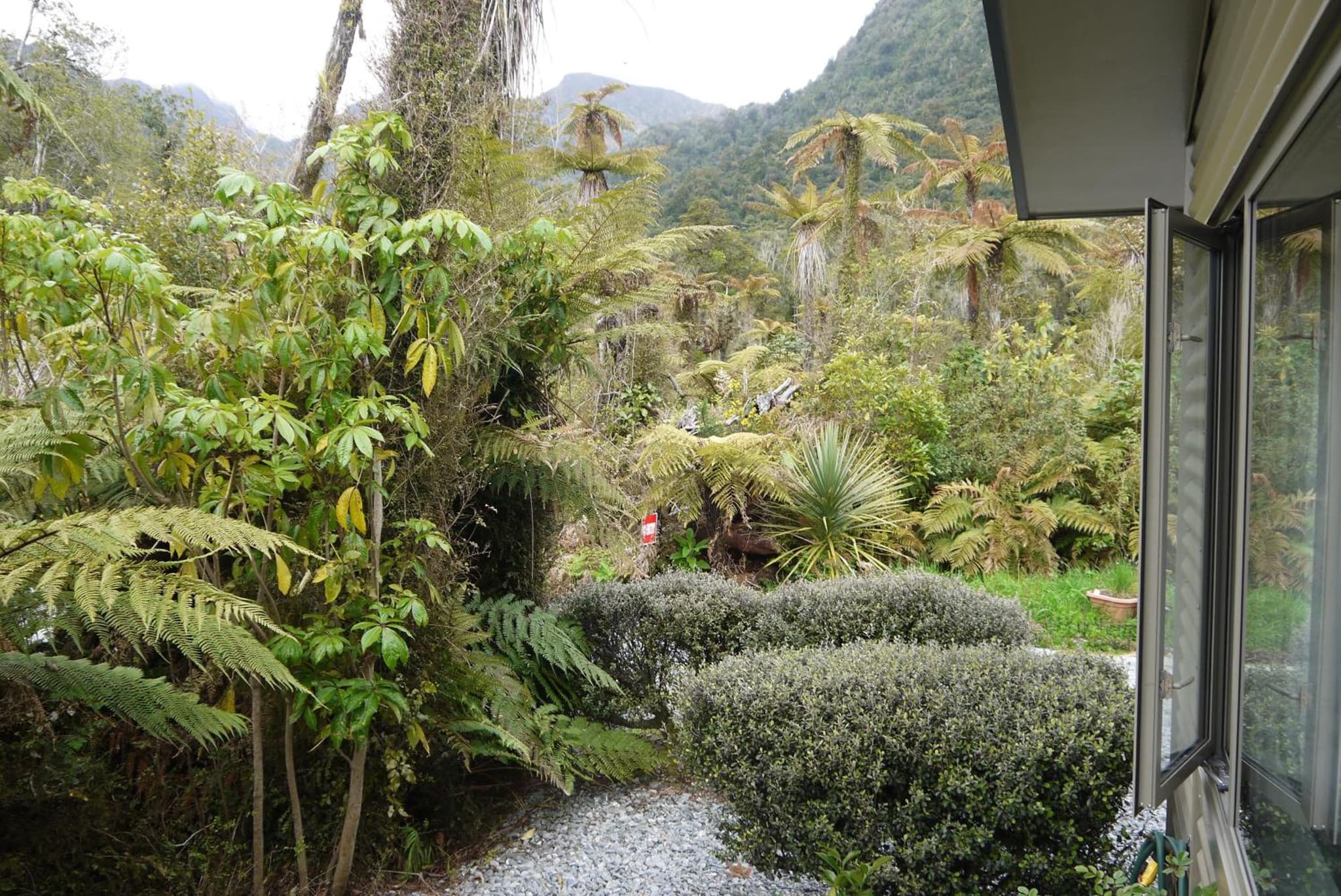 Franz Josef Treetops photo 9