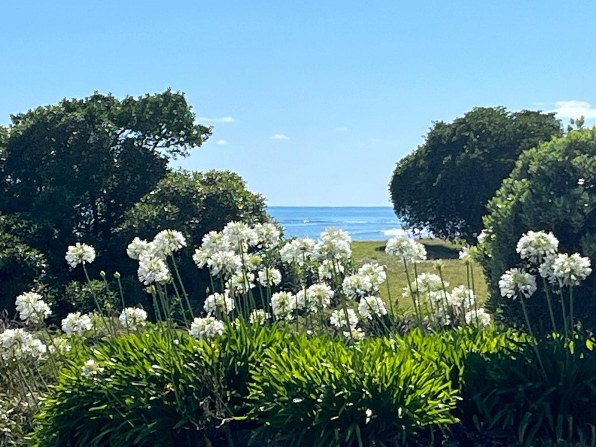 Wellwood Cottage - Beach Front Escape photo 8