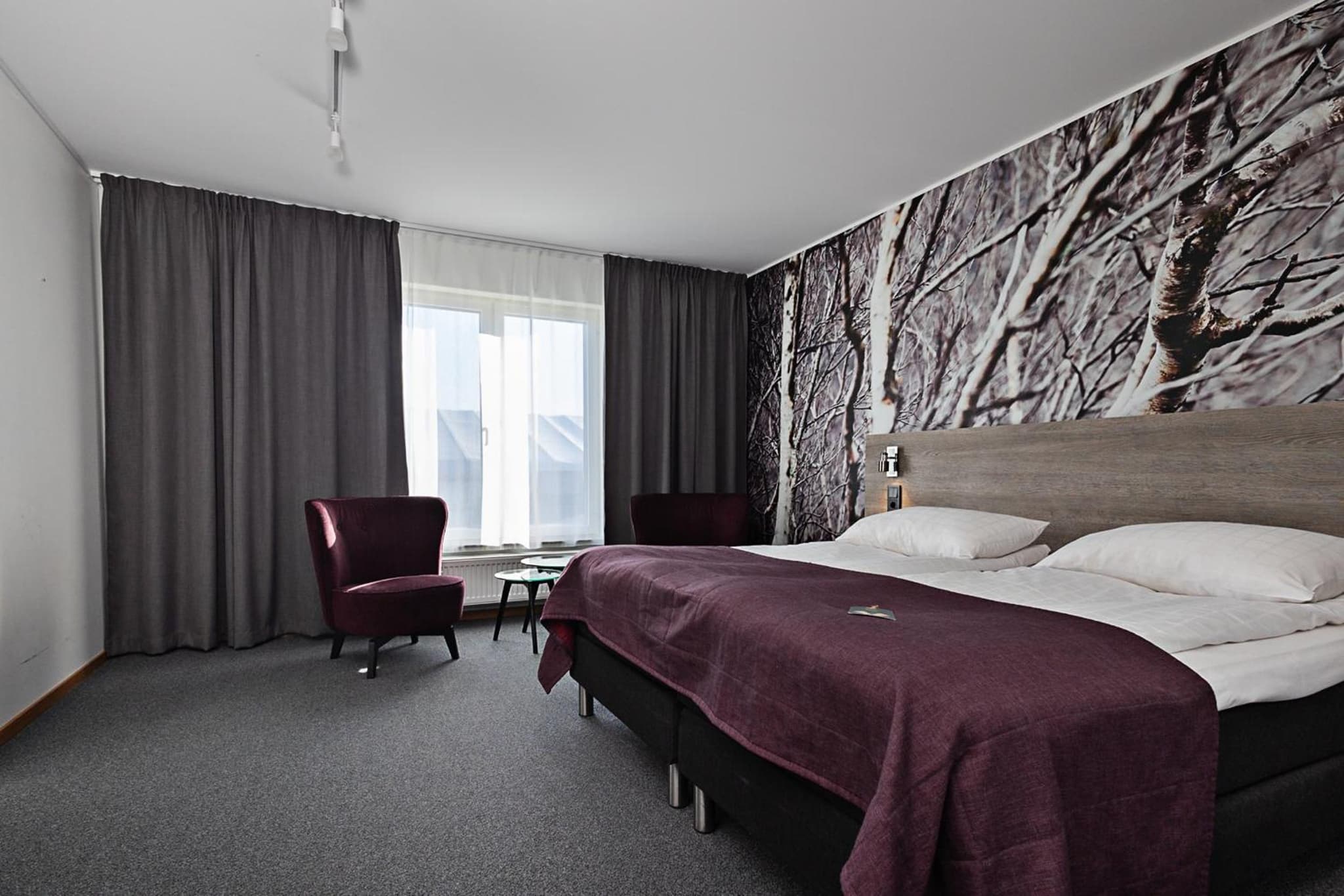 Comfort Hotel Umeå City photo 4