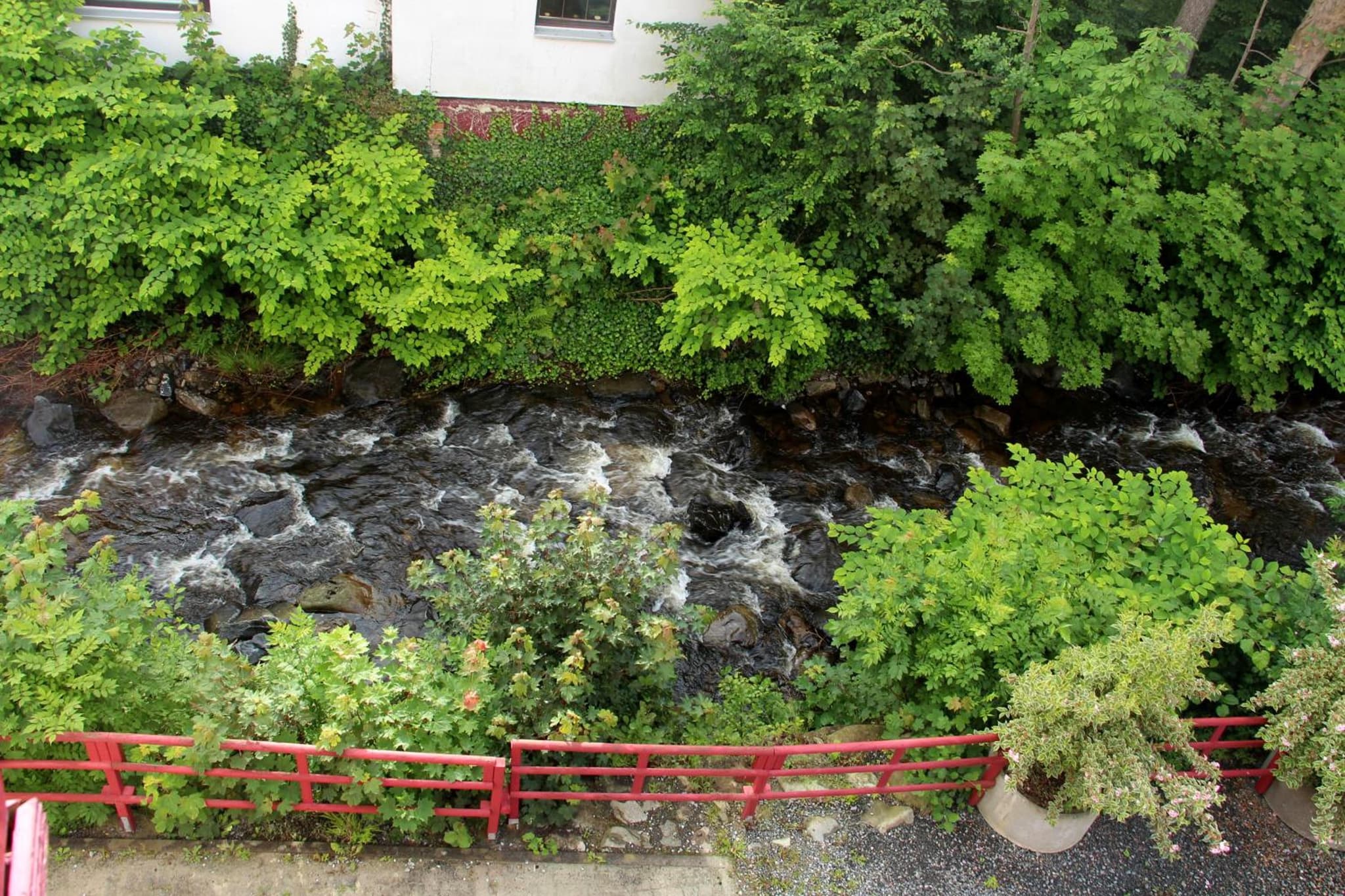 REGIOHOTEL Germania Bad Harzburg photo 9