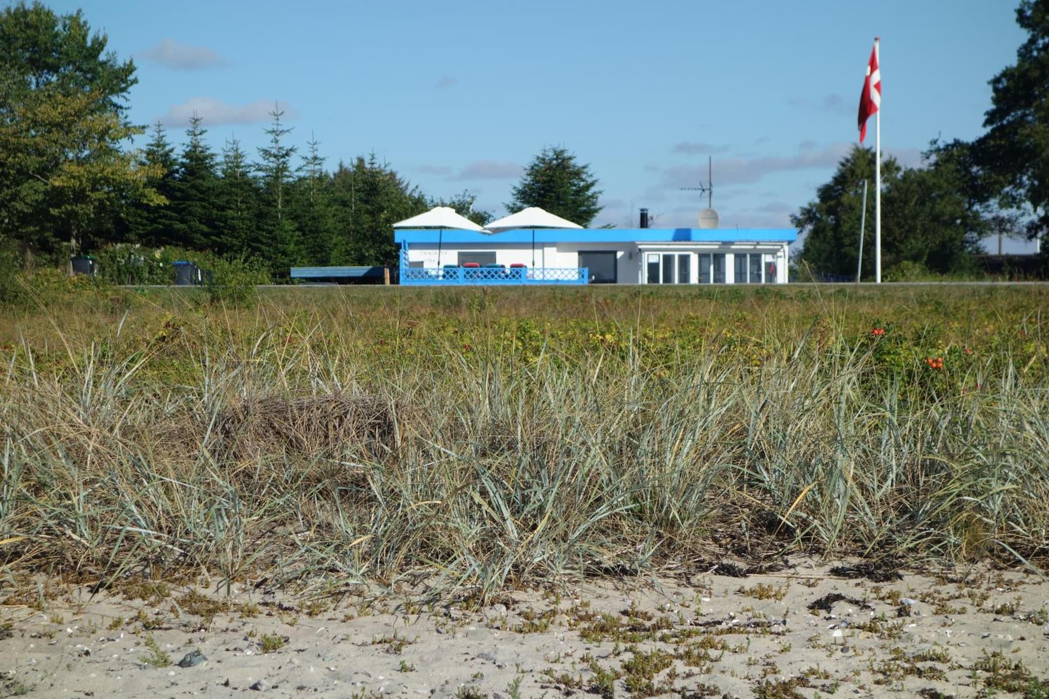 Strandhaus direkt am Meer photo 7