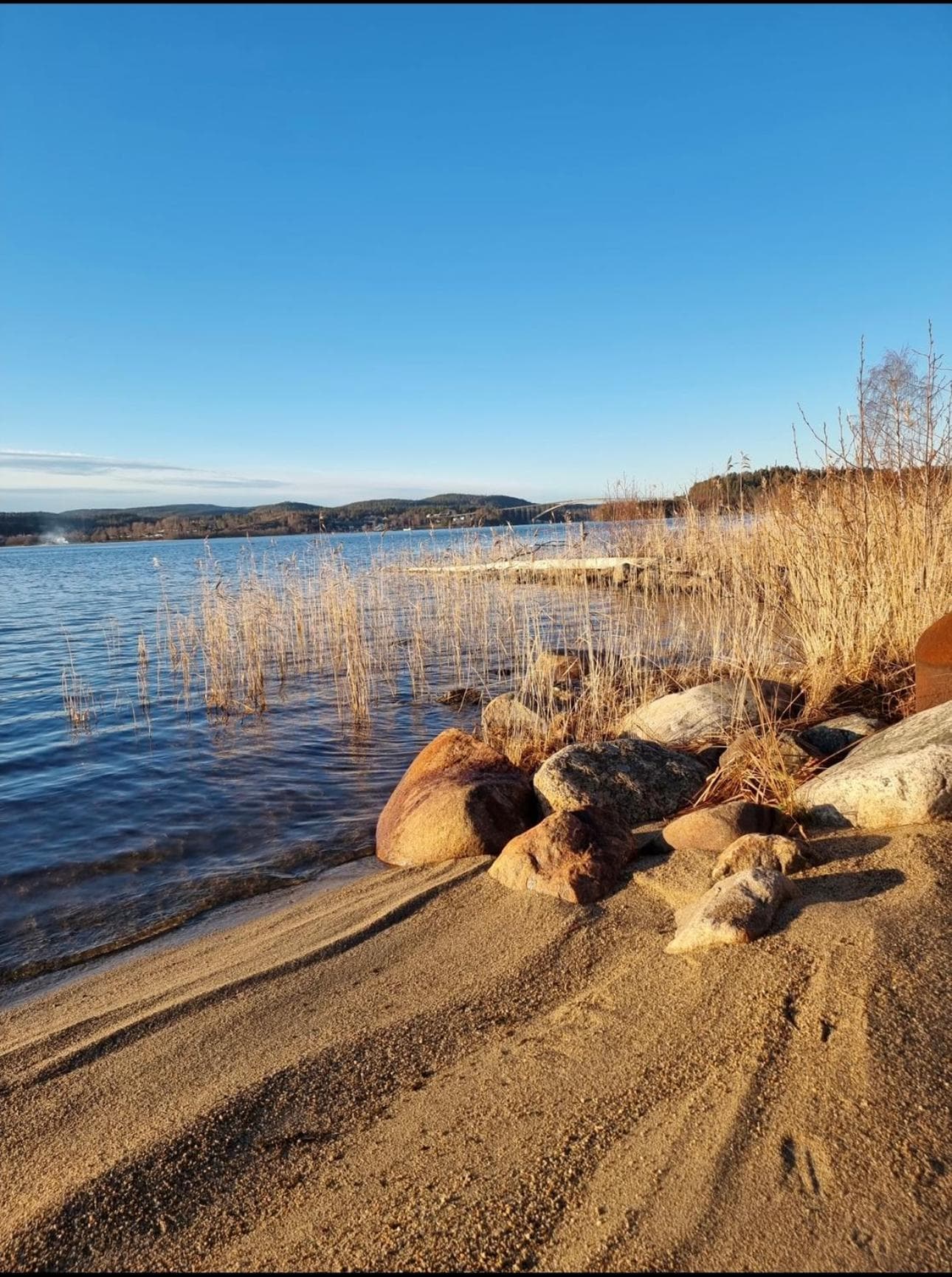 Guldkusten i Höga kusten photo 9