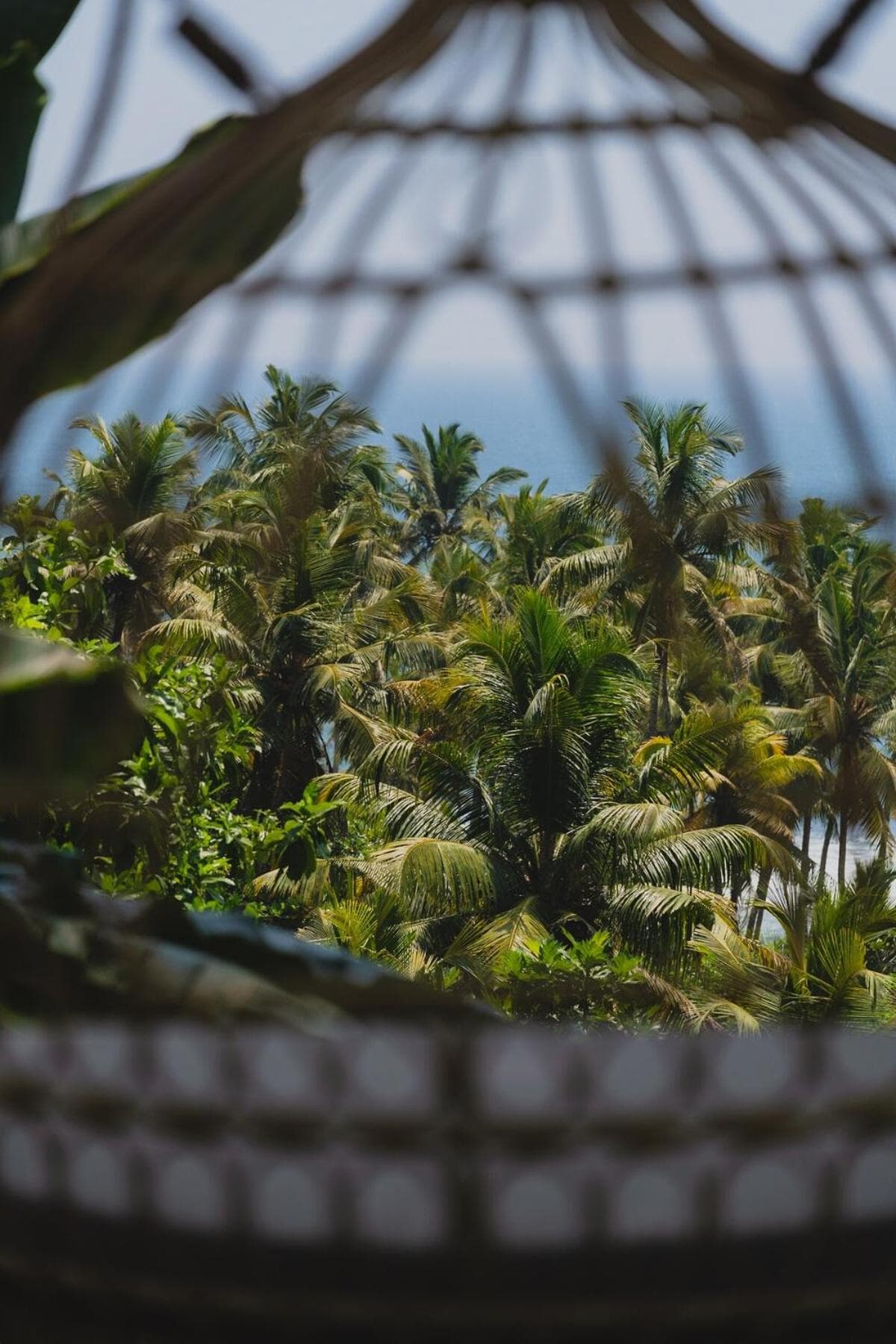 Amba Villa - Madiha Hill - NEW photo 4