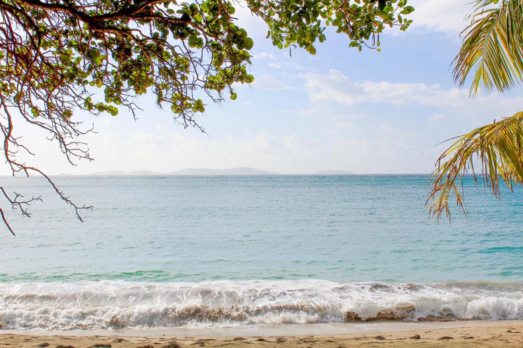 Sugarapple Bequia Beach Cottage photo 4