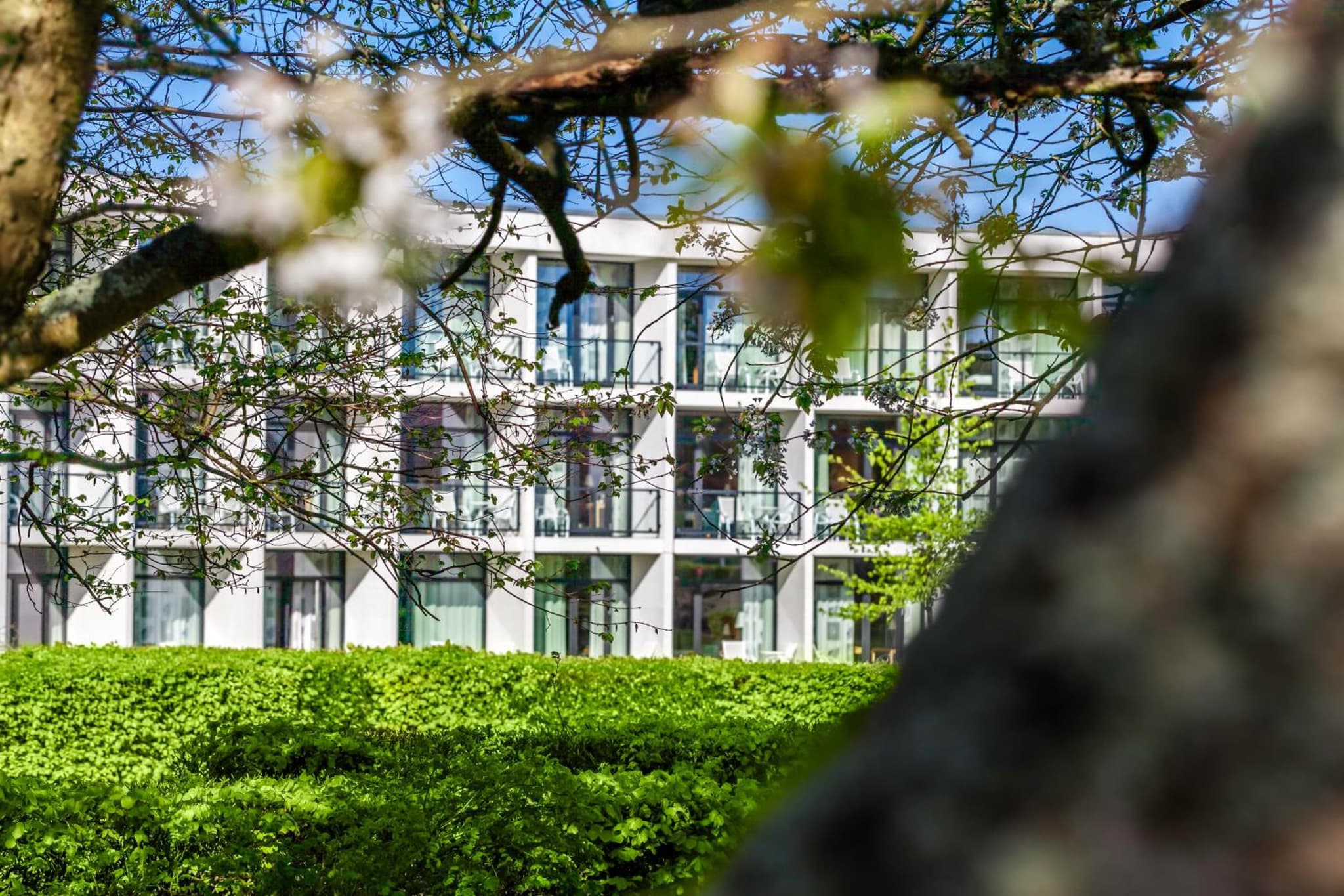 Nyborg Strand Hotel & Konference photo 6