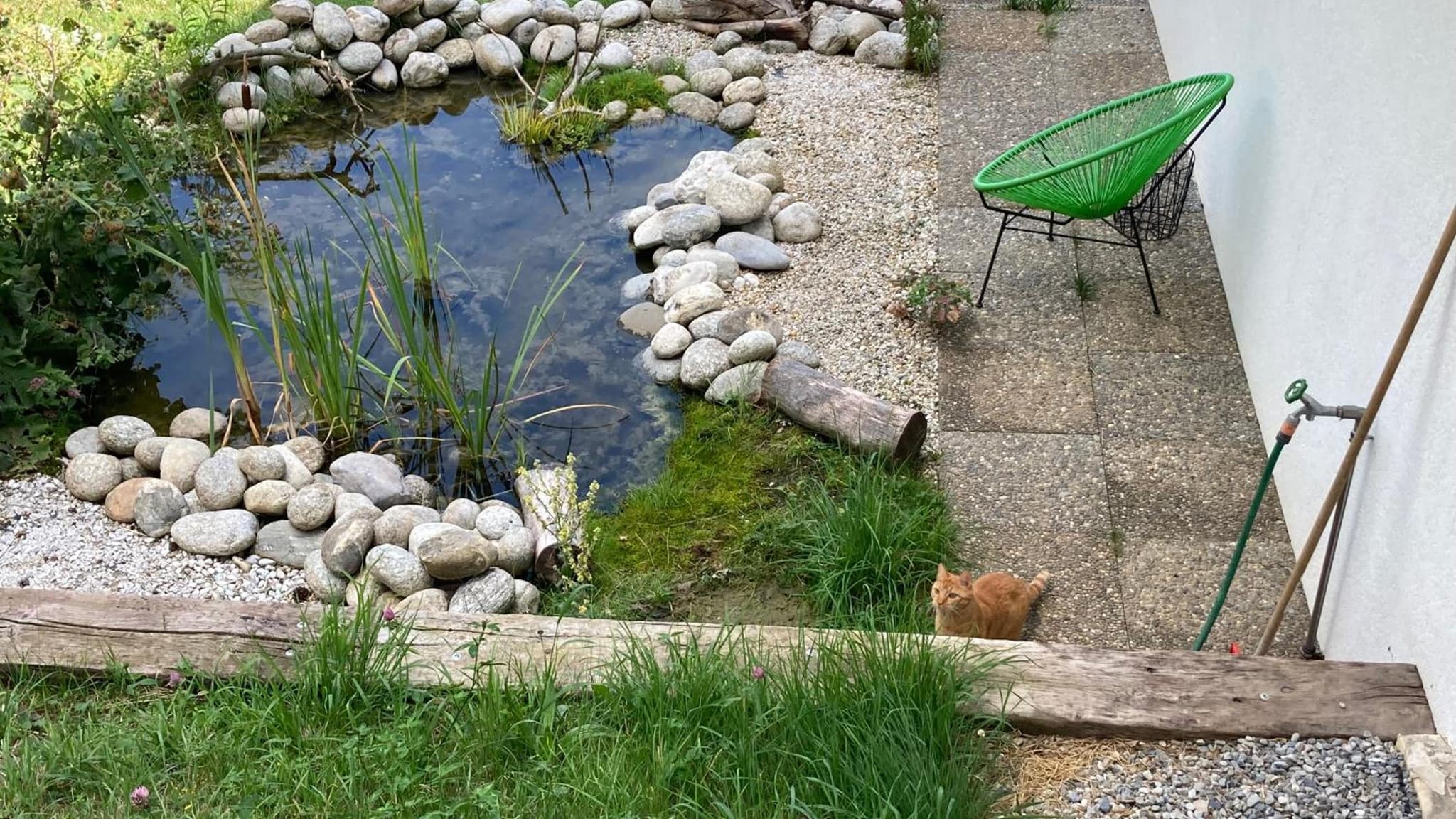 Le Lézard et la Grenouille BnB photo 7